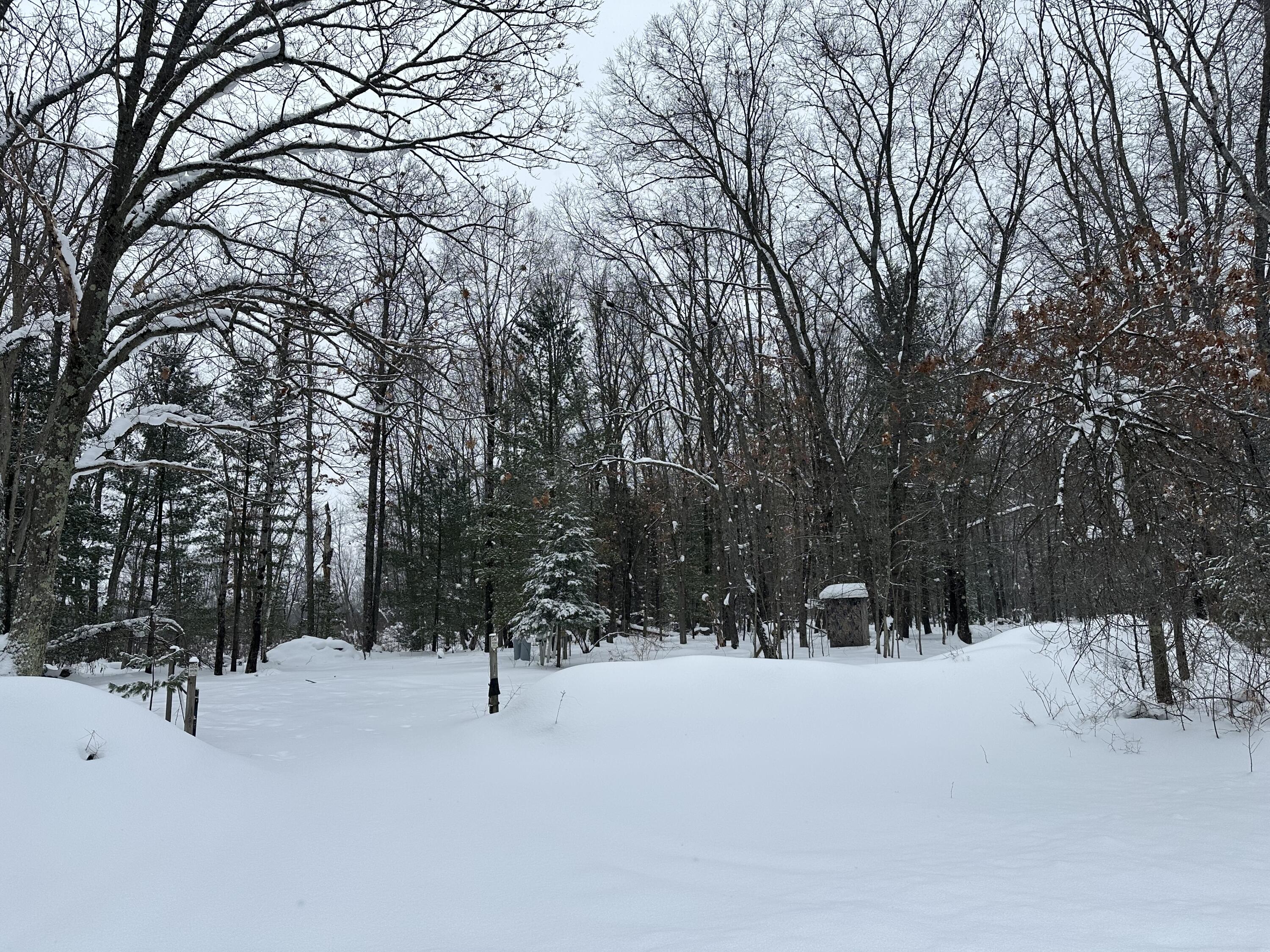 604 Beaver Road Bitely, MI 49309 - Photo 102 of 104 IMG_8187