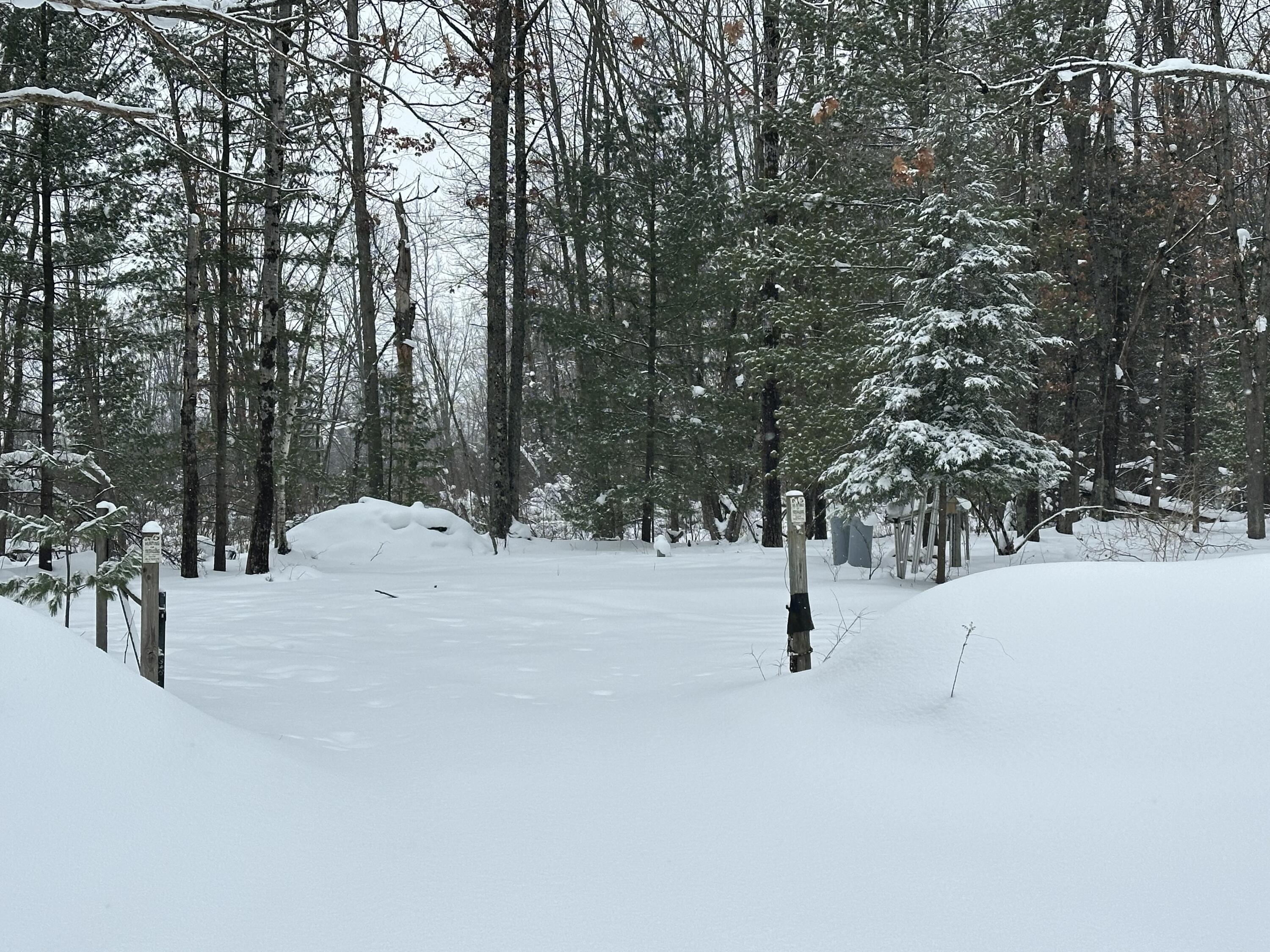 604 Beaver Road Bitely, MI 49309 - Photo 103 of 104 IMG_8188