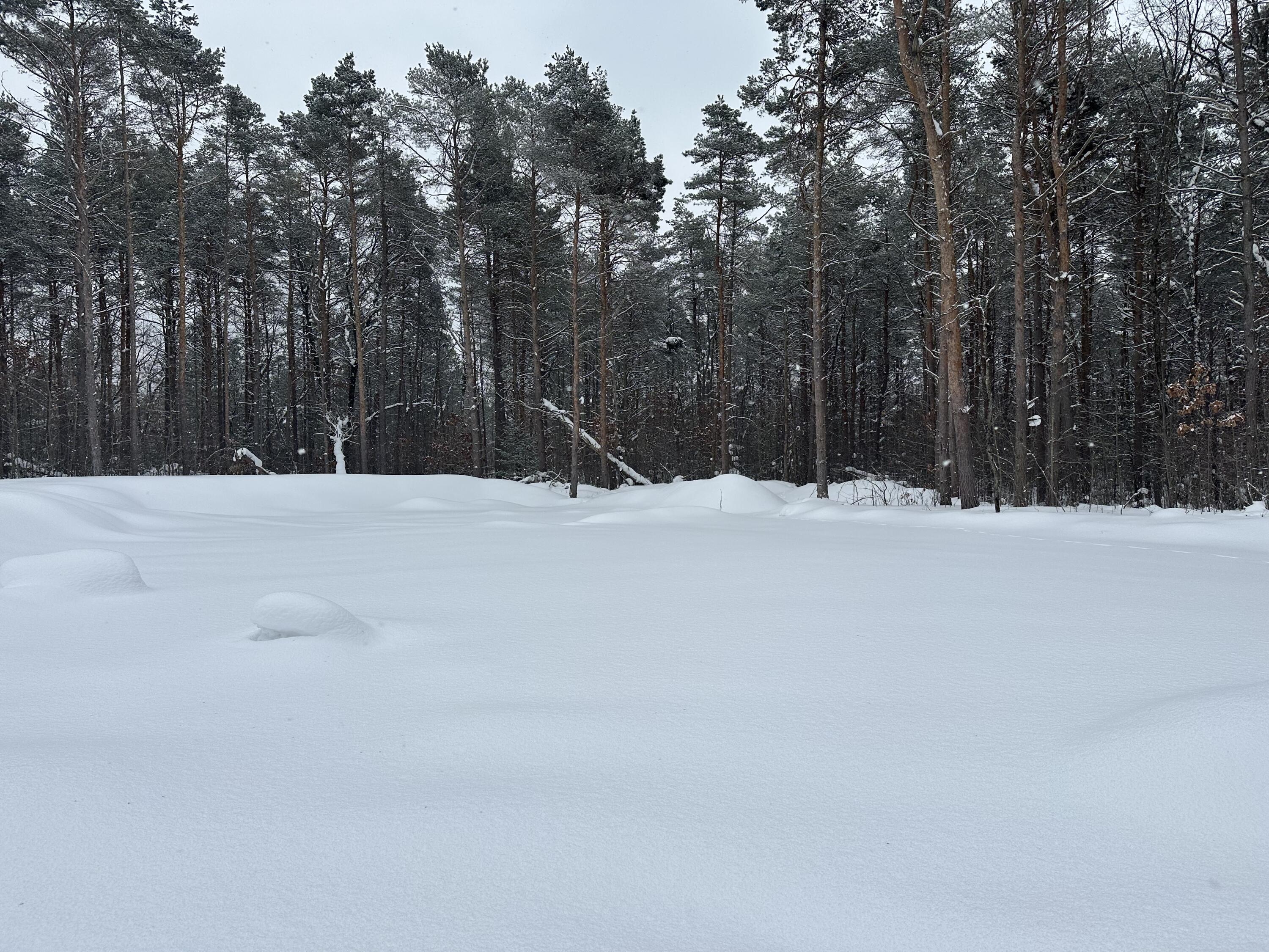604 Beaver Road Bitely, MI 49309 - Photo 86 of 104 IMG_8171
