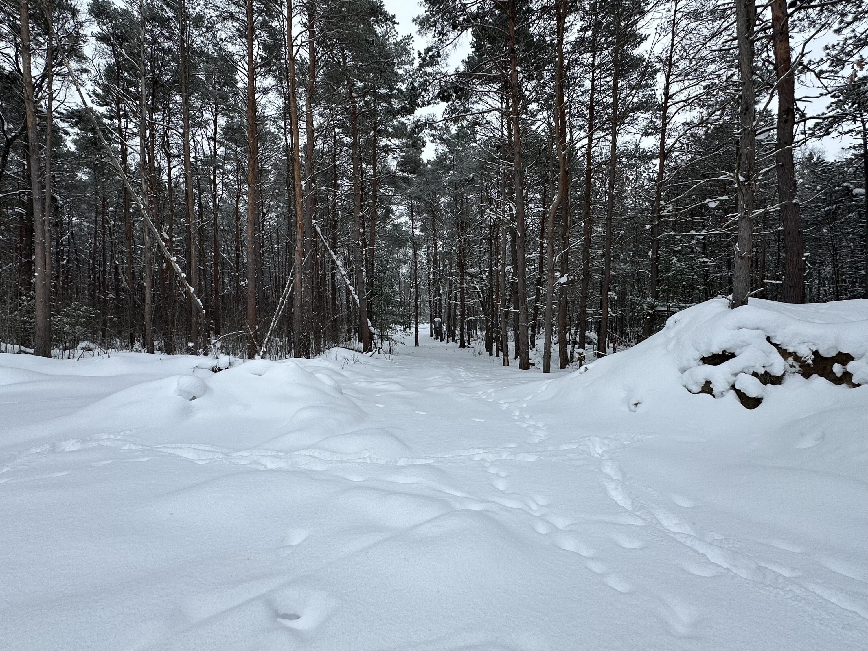 604 Beaver Road Bitely, MI 49309 - Photo 90 of 104 IMG_8175