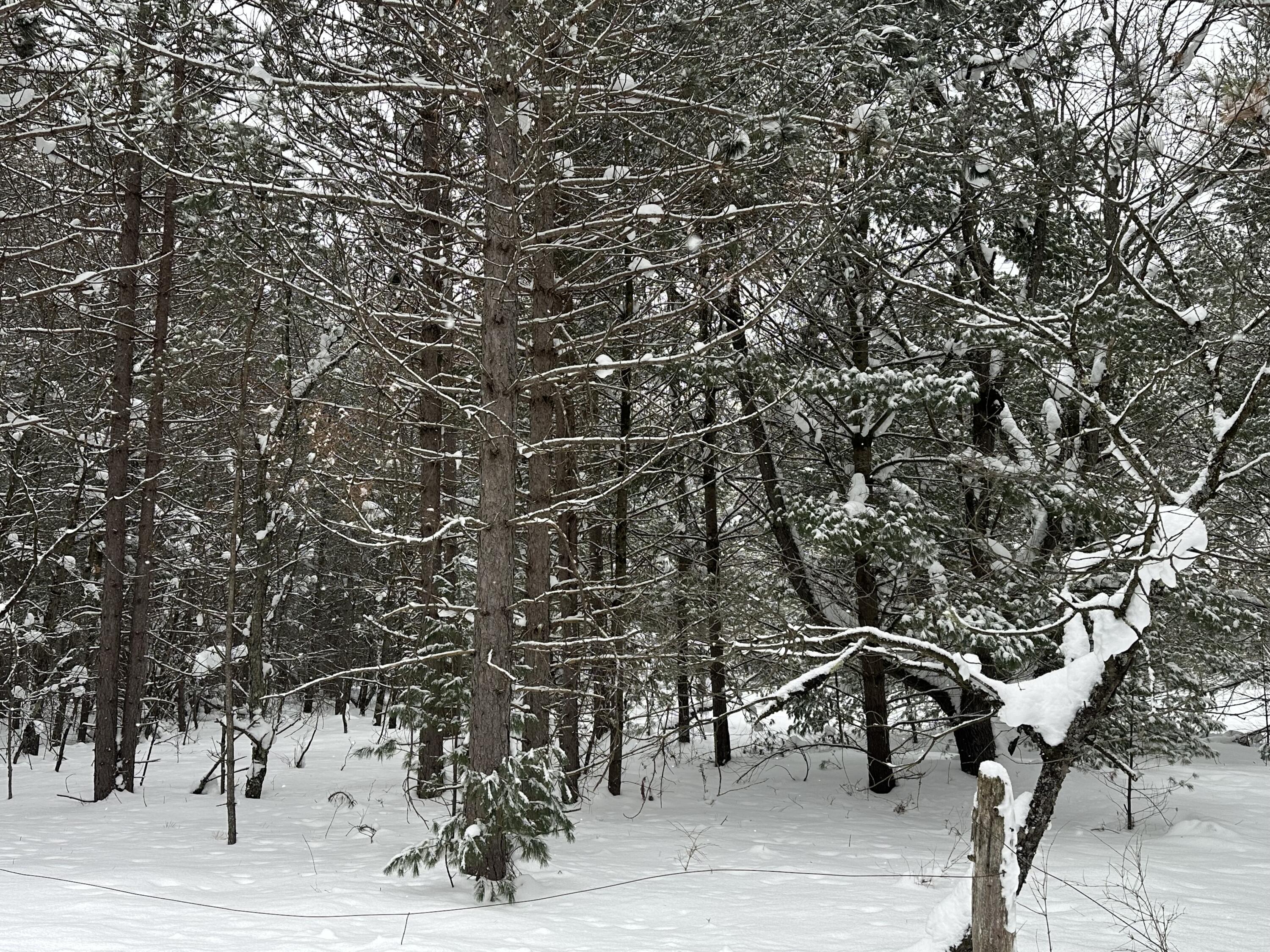 604 Beaver Road Bitely, MI 49309 - Photo 97 of 104 IMG_8182