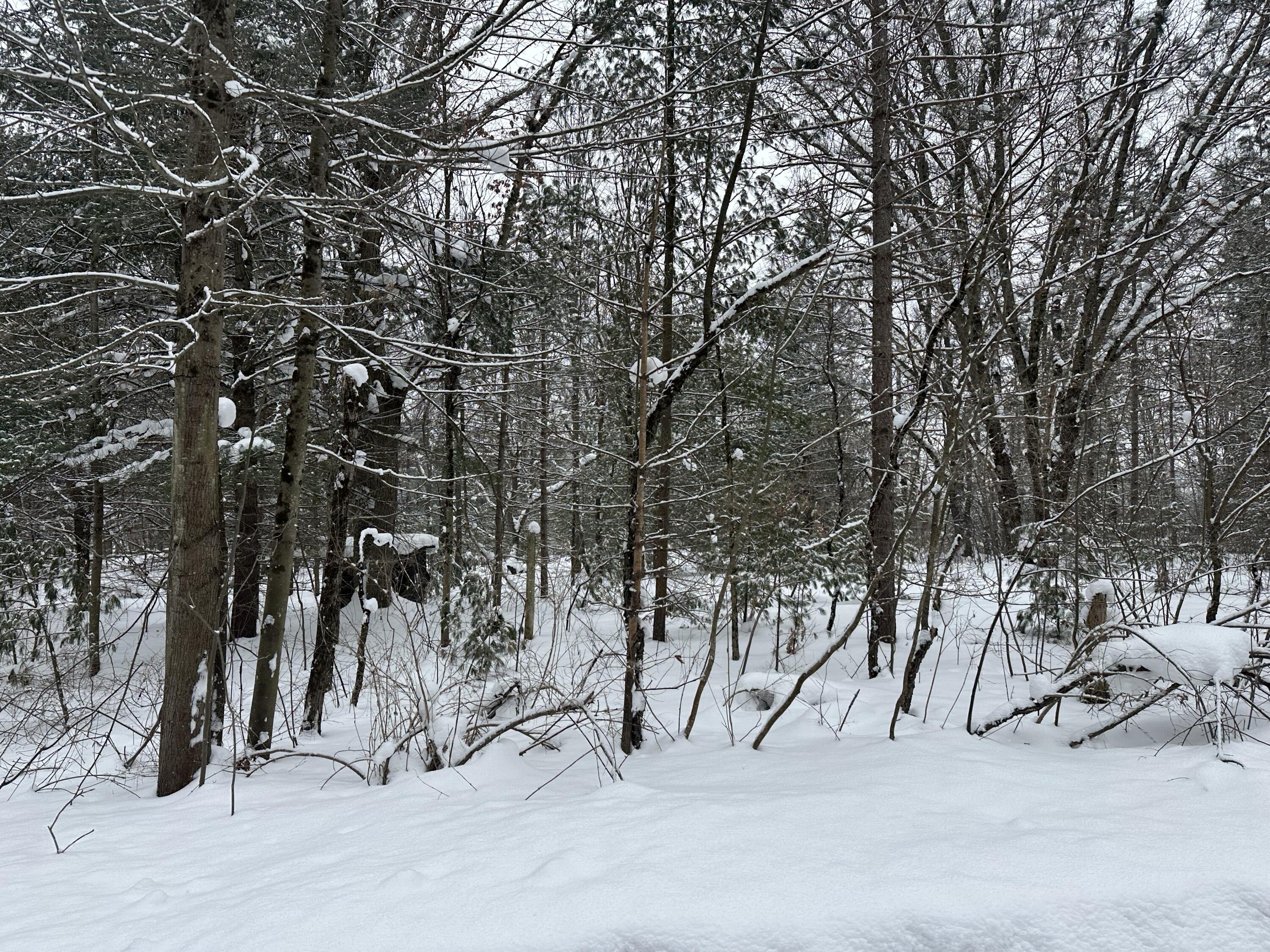 604 Beaver Road Bitely, MI 49309 - Photo 98 of 104 IMG_8183