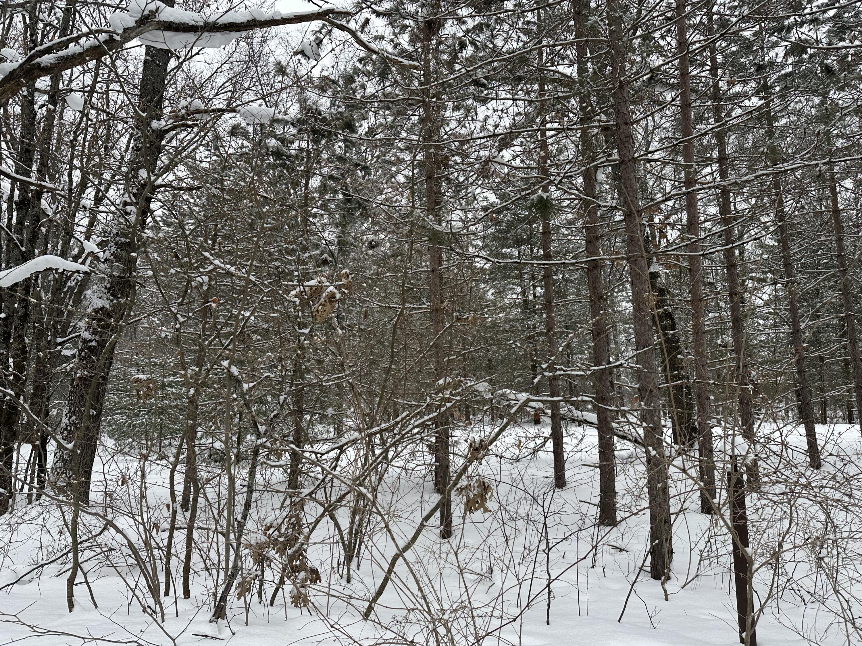 604 Beaver Road Bitely, MI 49309 - Photo 99 of 104 IMG_8184
