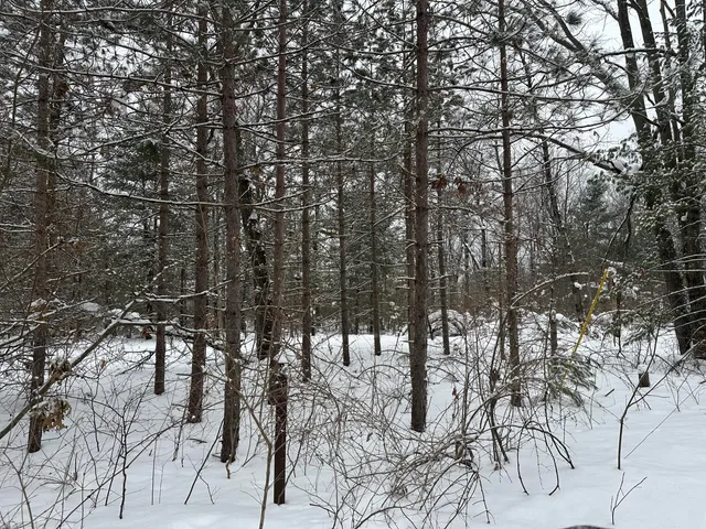 $569,900 | 604 Beaver Road, Bitely, MI 49309