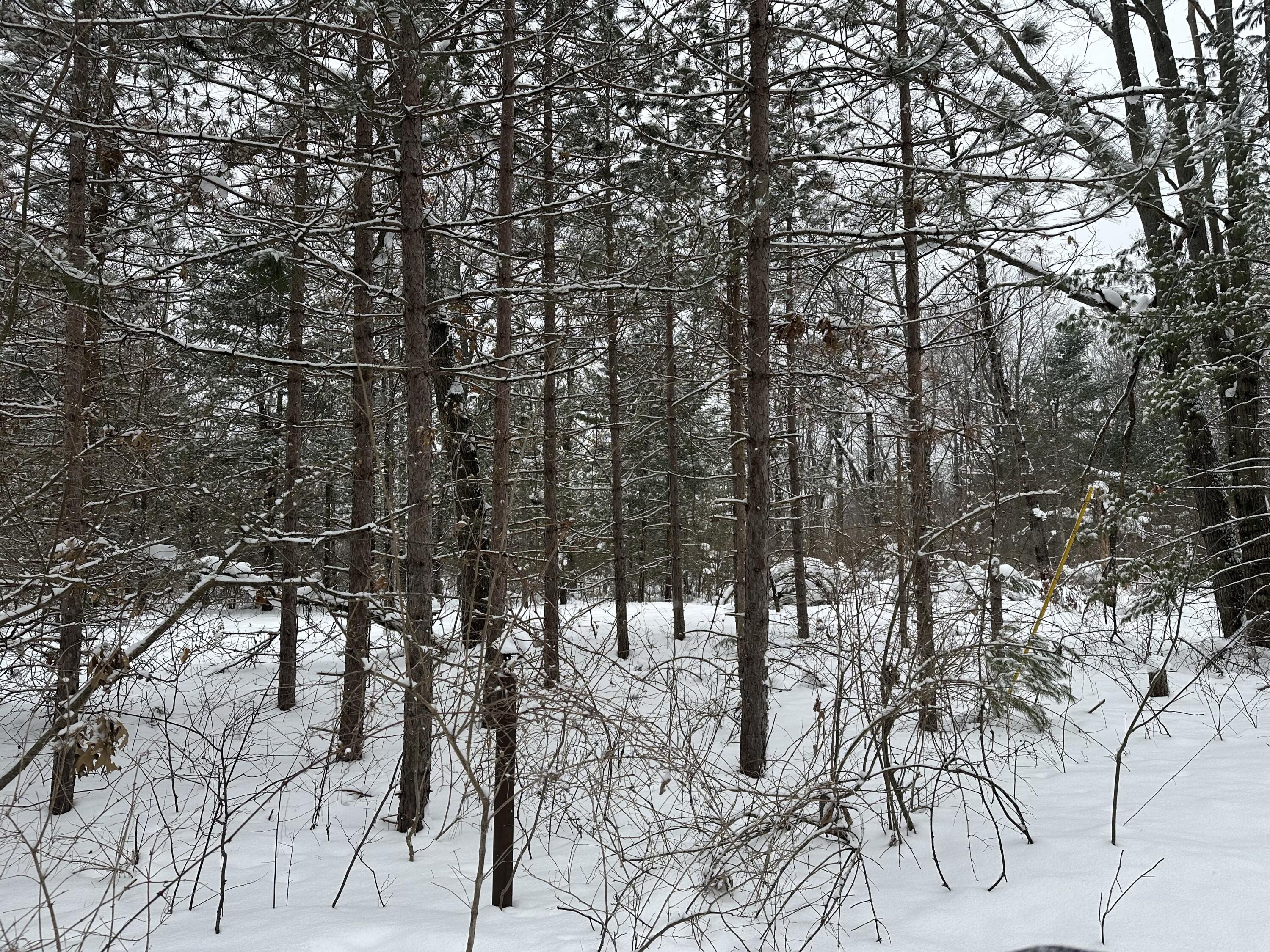 604 Beaver Road Bitely, MI 49309 - Photo 100 of 104 IMG_8185