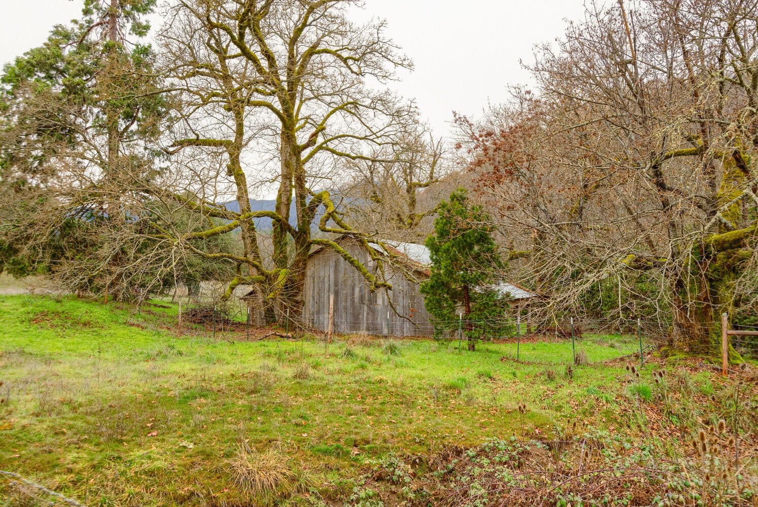 6901 Thompson Creek Road Jacksonville, OR 97530 - Photo 58 of 88 6901 Thompson Crk