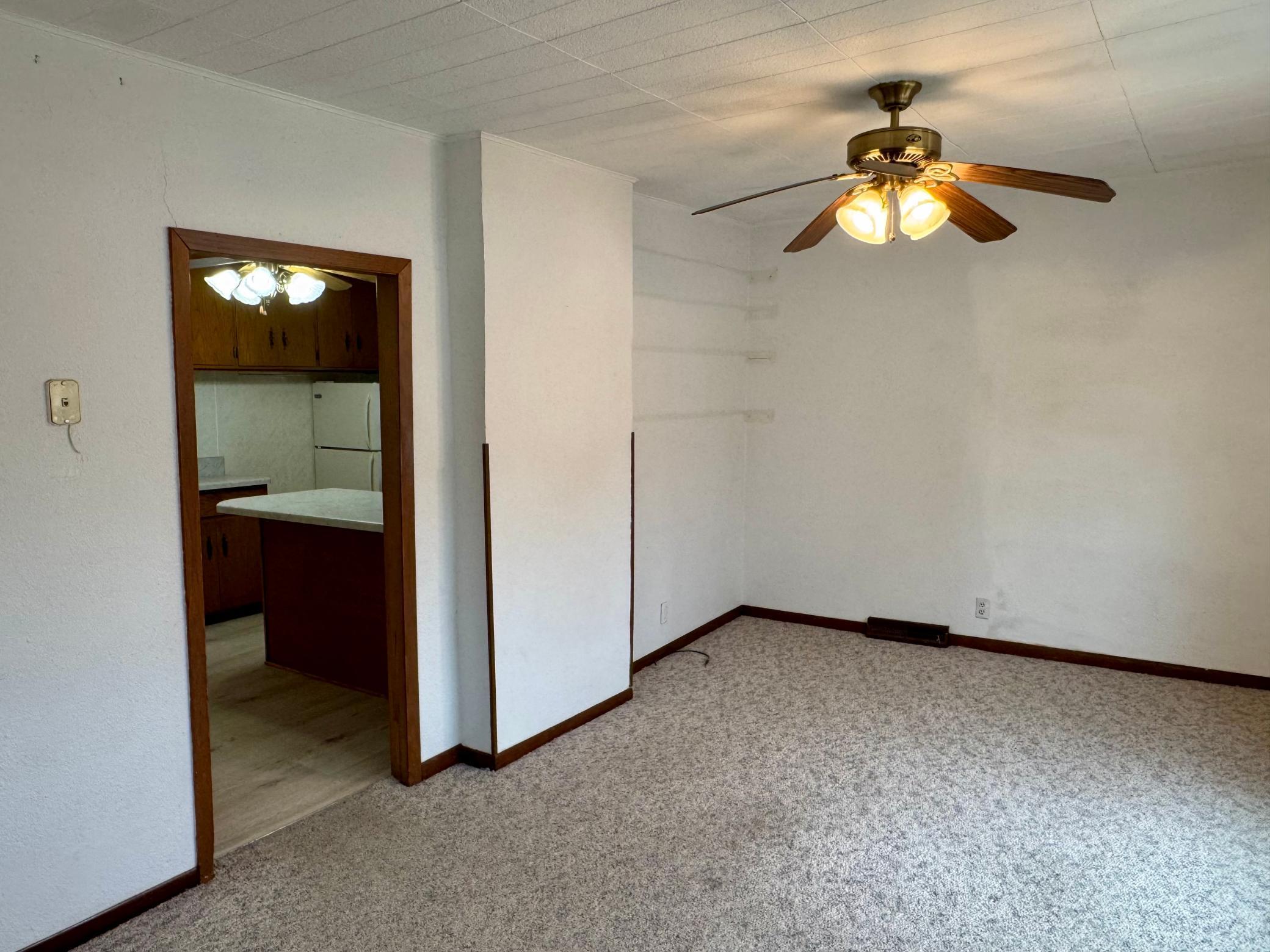 103 Main Street Danube, MN 56230 - Photo 9 of 21