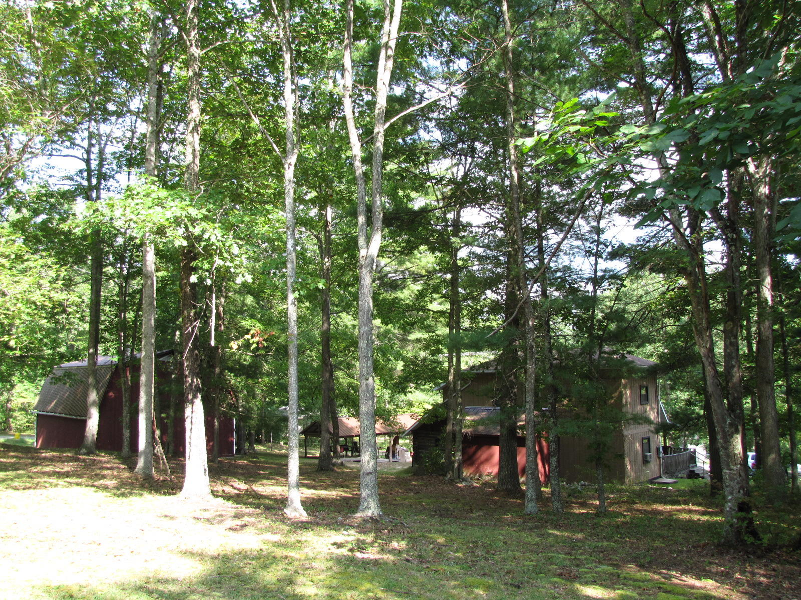 79 Deer Run Road Gap Mills, WV 24941 - Photo 56 of 70 Gallery Image 56