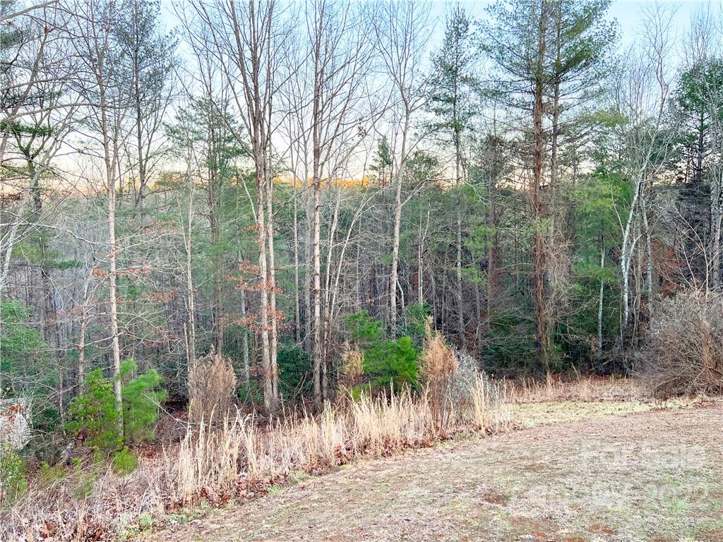 136 River Ridge Lane Hickory, NC 28601 - Photo 20 of 23 Gallery Image 20