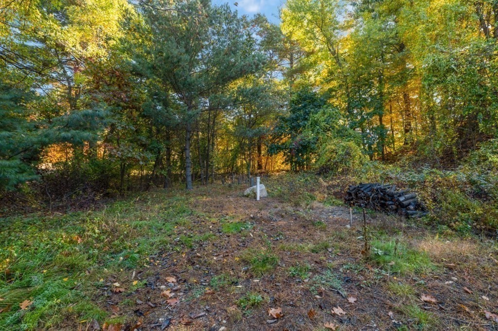 15 Red Acre Road Stow, MA 01775 - Photo 36 of 42 a view of outdoor space and trees