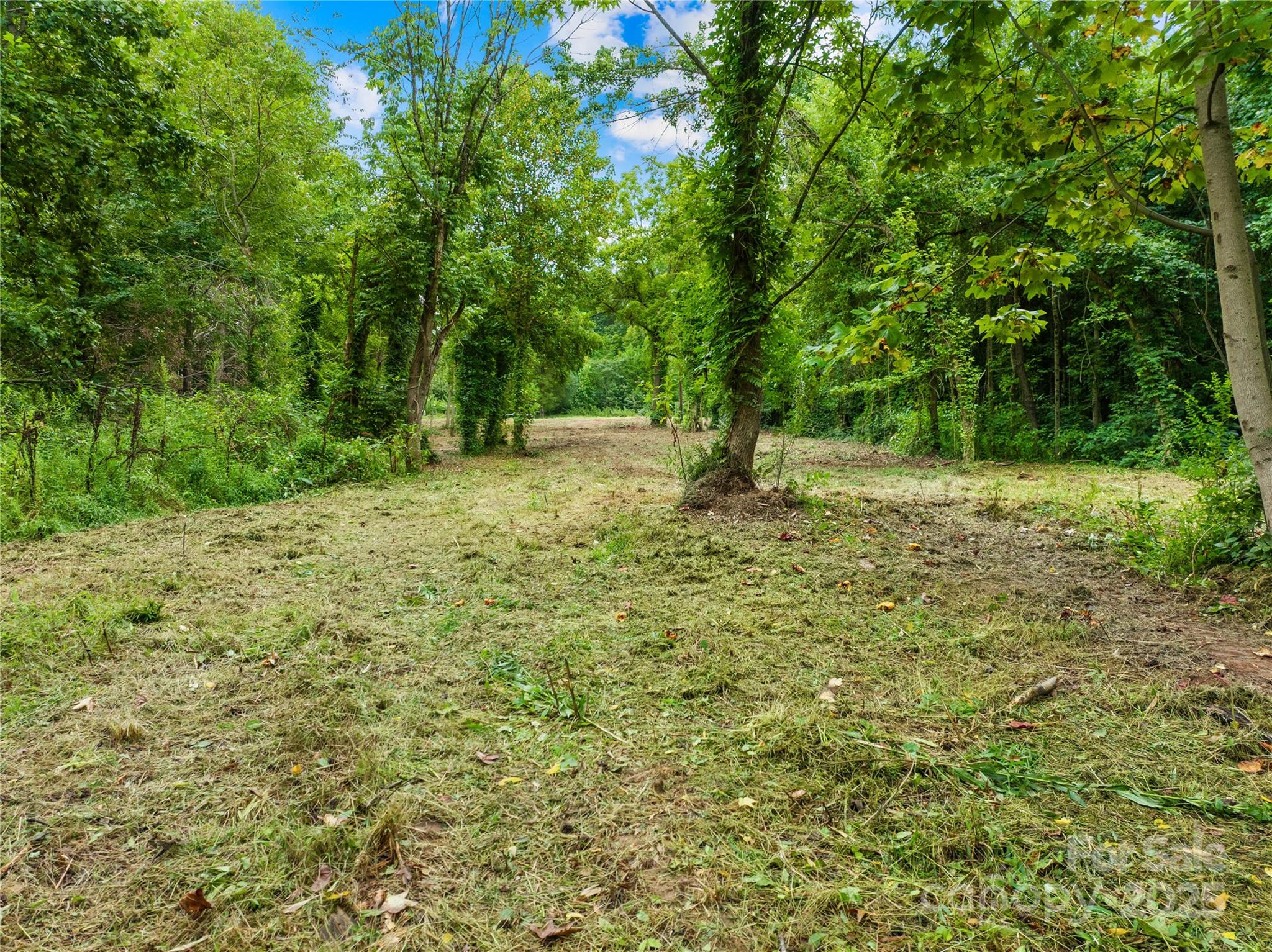 273 Idaho Road, Unit 1 Statesville, NC 28625 - Photo 11 of 18