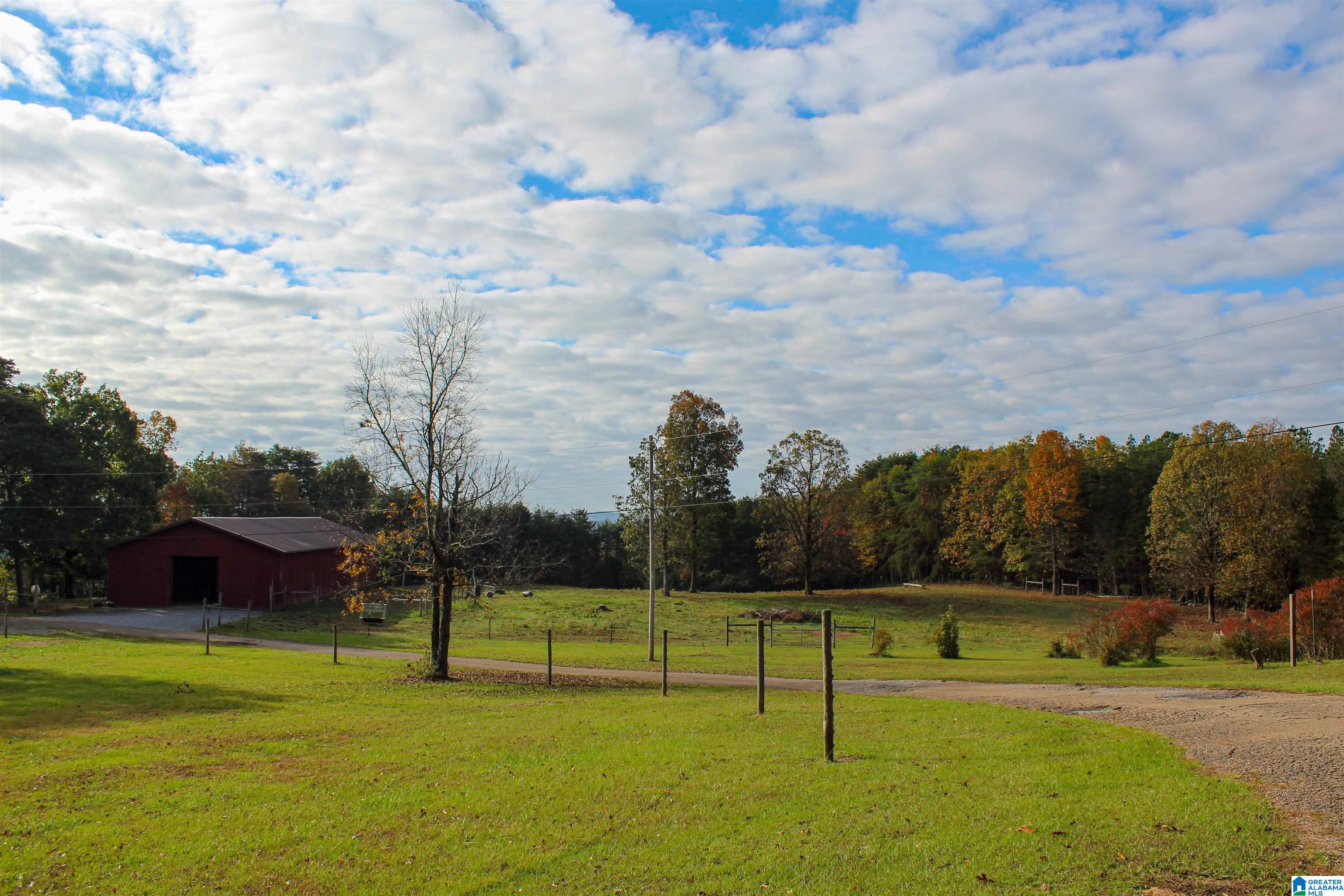 539 3rd Street Northwest Carbon Hill, AL 35549 - Photo 10 of 71