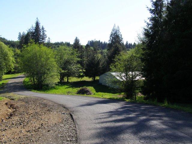 P5071180