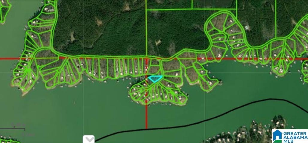 Lot 73 Sipsey Pines Road, Unit 73 Arley, AL 35541 - Photo 4 of 4