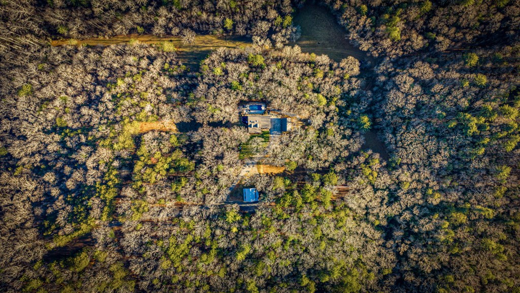 178 Arp Road Mineral Bluff, GA 30559 - Photo 71 of 75