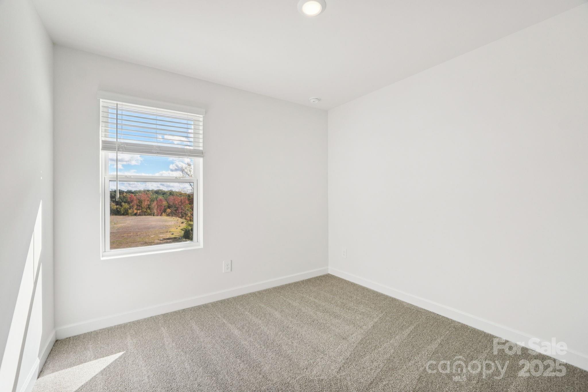 111 Kona Lane Fort Mill, SC 29708 - Photo 25 of 32