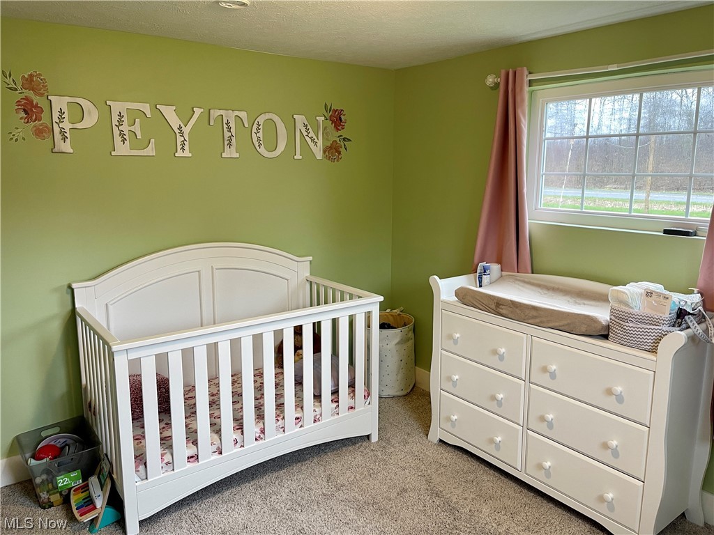3271 Winchell Road Mantua, OH 44255 - Photo 21 of 34 Gallery Image 21