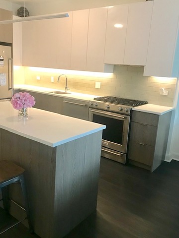 930 West Altgeld Street, Unit 301 Chicago, IL 60614 - Photo 3 of 23