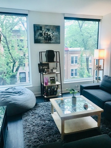 930 West Altgeld Street, Unit 301 Chicago, IL 60614 - Photo 4 of 23