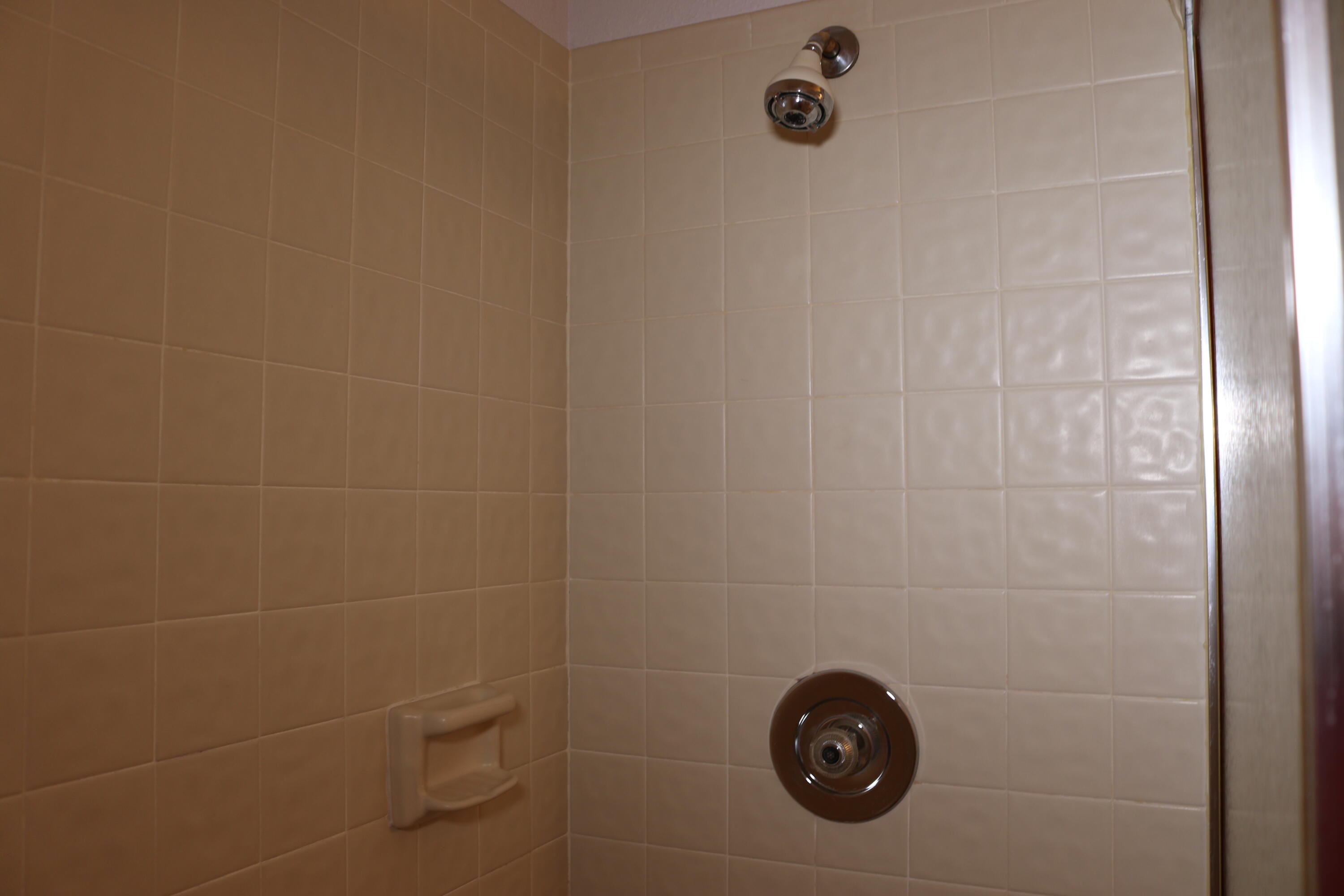 403 Springdale Circle Palm Springs, FL 33461 - Photo 40 of 45 shower
