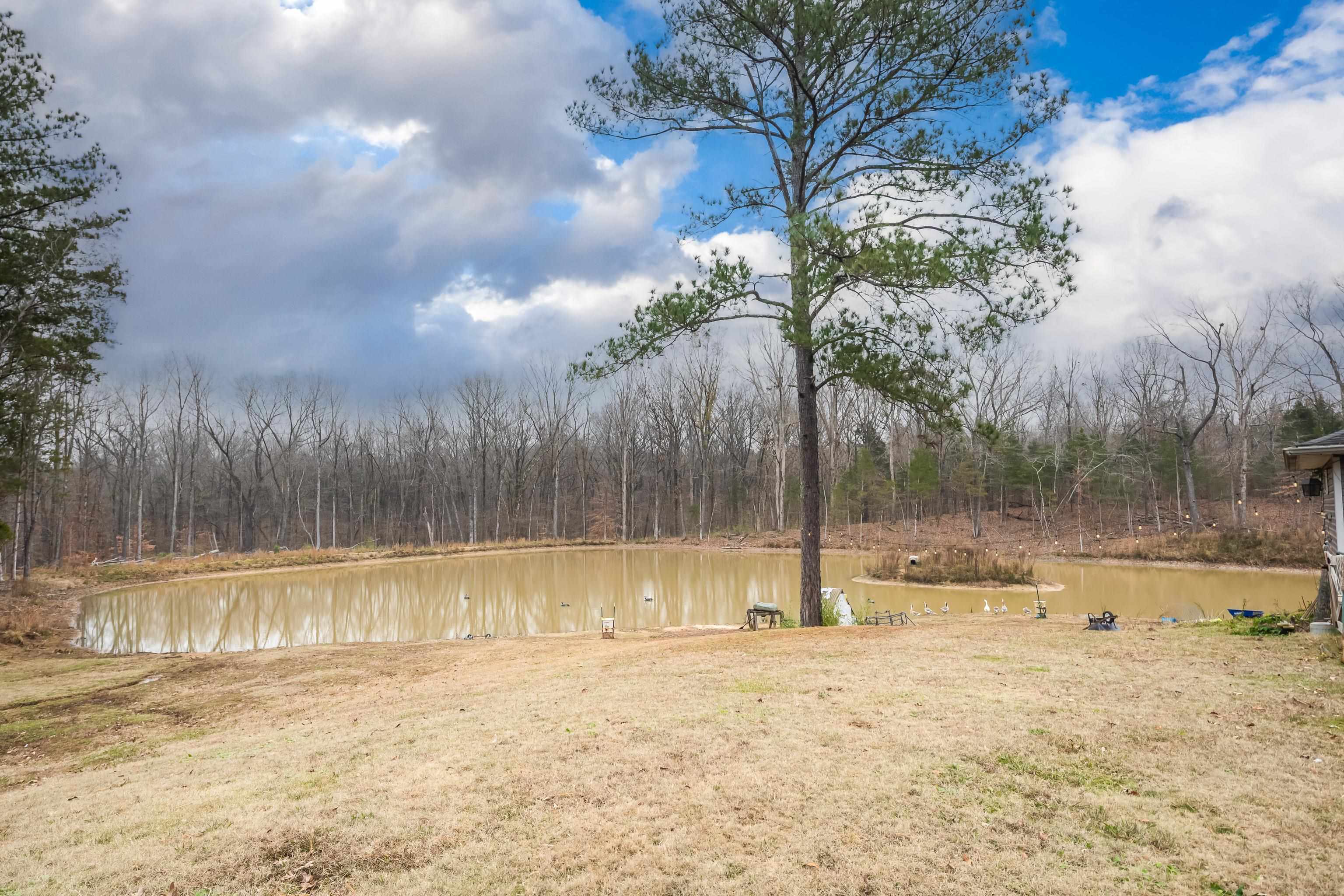 1755 Country Club Road Somerville, TN 38068 - Photo 35 of 40 View of yard with a water view and a wooded view