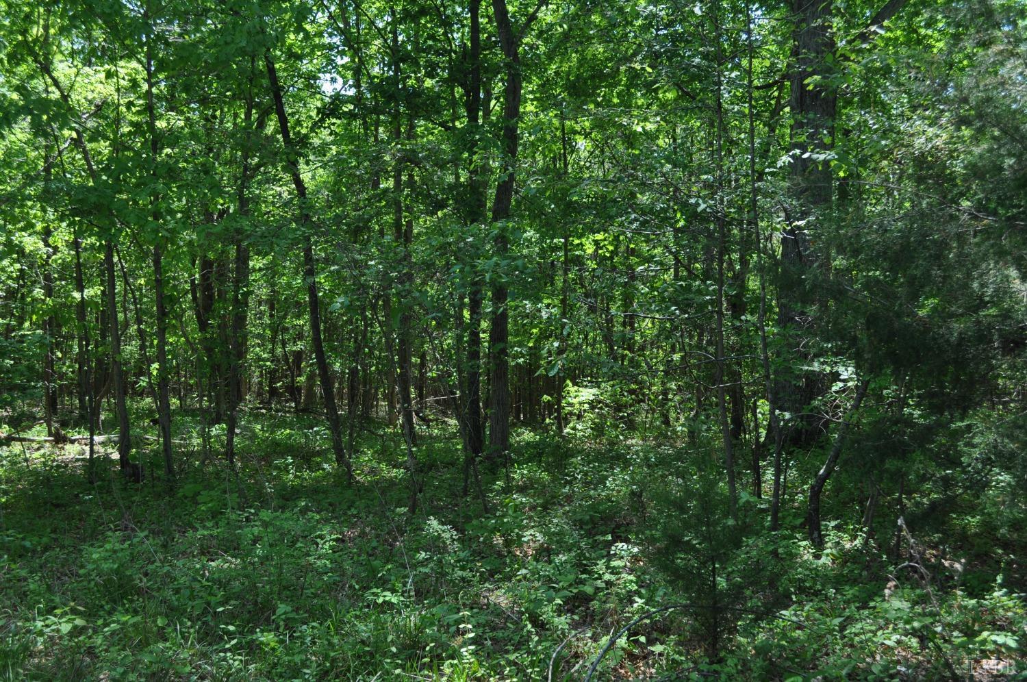 0 Ridgeway Road Vernon Hill, VA 24597 - Photo 9 of 11 Gallery Image 9