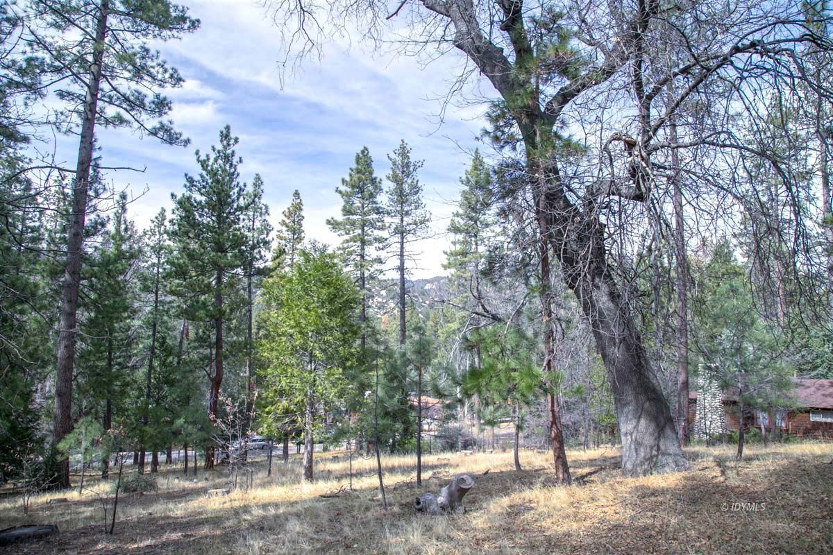Toll Gate Road Idyllwild, CA 92549 - Photo 1 of 13 a view of a forest with trees