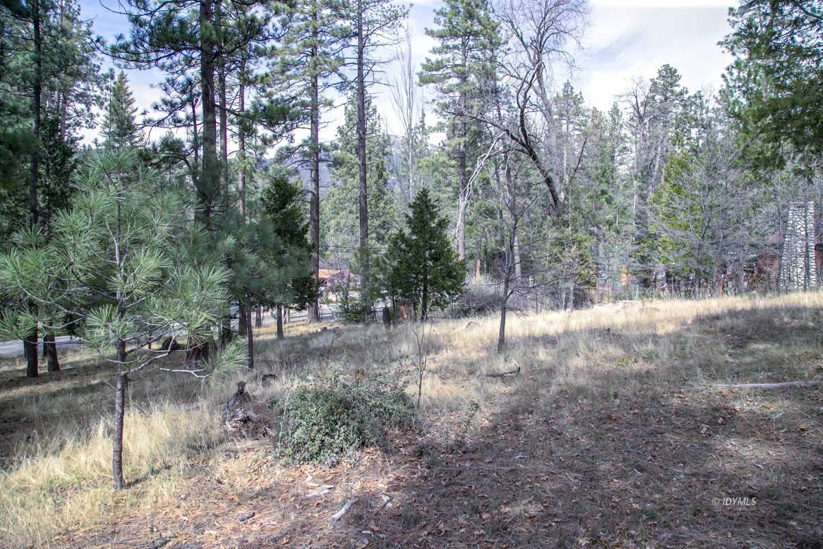 Toll Gate Road Idyllwild, CA 92549 - Photo 11 of 13 a view of a forest with trees