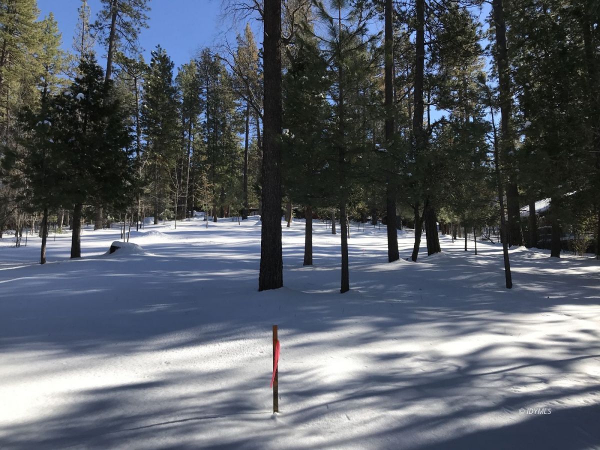 Toll Gate Road Idyllwild, CA 92549 - Photo 12 of 13 a view of a yard with trees