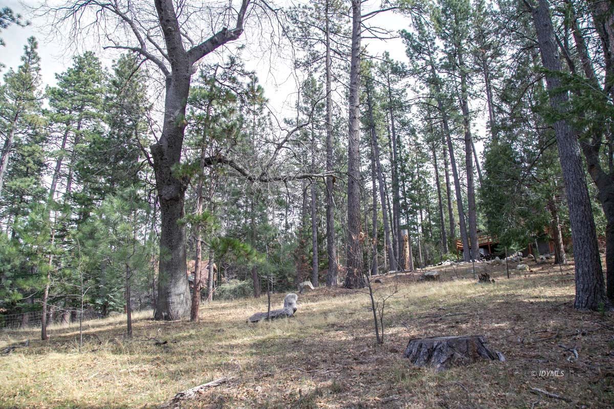Toll Gate Road Idyllwild, CA 92549 - Photo 2 of 13 a view of outdoor space with trees