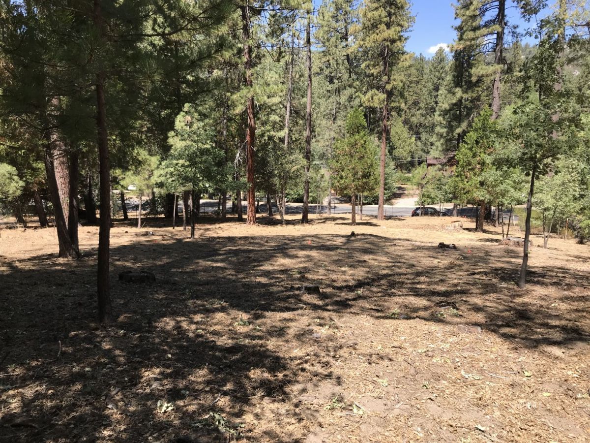 Toll Gate Road Idyllwild, CA 92549 - Photo 3 of 13 a row of trees with yard