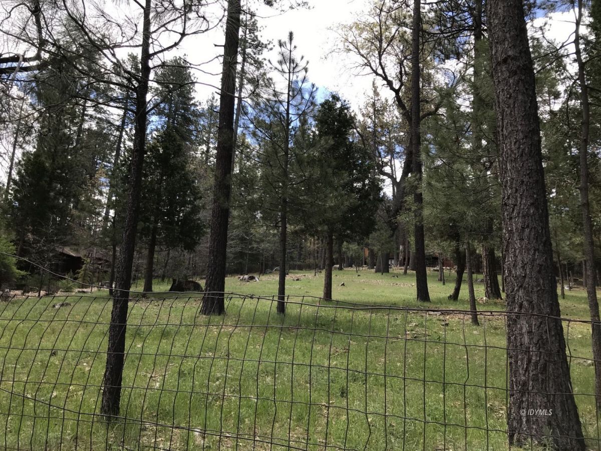Toll Gate Road Idyllwild, CA 92549 - Photo 4 of 13
