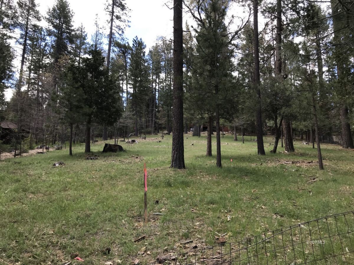 Toll Gate Road Idyllwild, CA 92549 - Photo 5 of 13 a view of outdoor space with trees