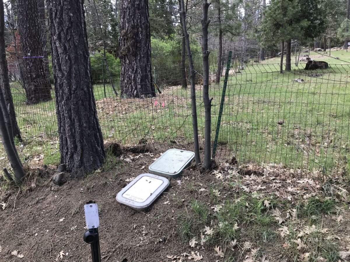 Toll Gate Road Idyllwild, CA 92549 - Photo 6 of 13 a view of a garden with plants