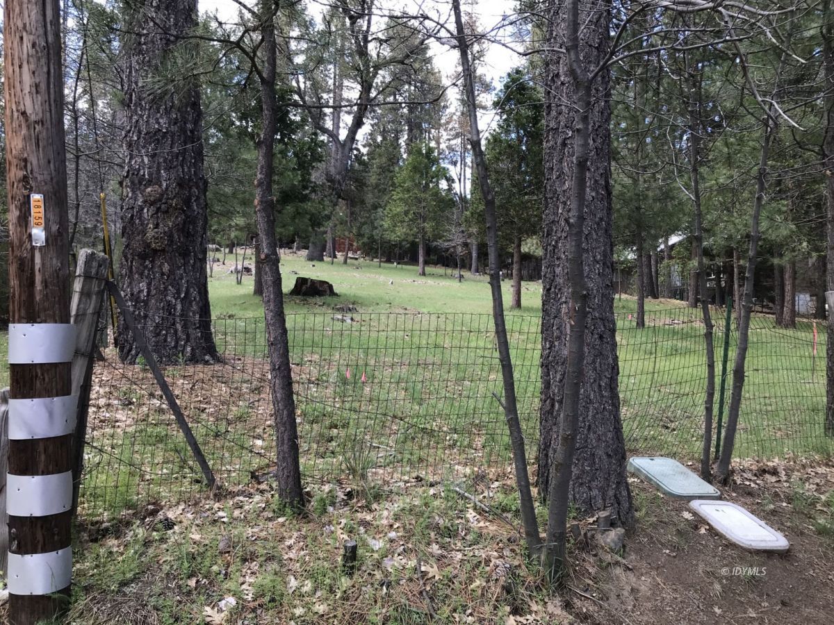 Toll Gate Road Idyllwild, CA 92549 - Photo 7 of 13 a view of a garden