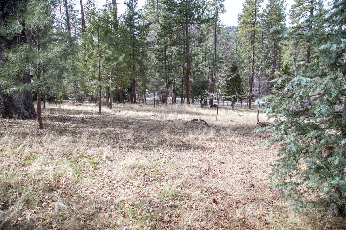 Toll Gate Road Idyllwild, CA 92549 - Photo 10 of 13 a view of dirt yard with a trees
