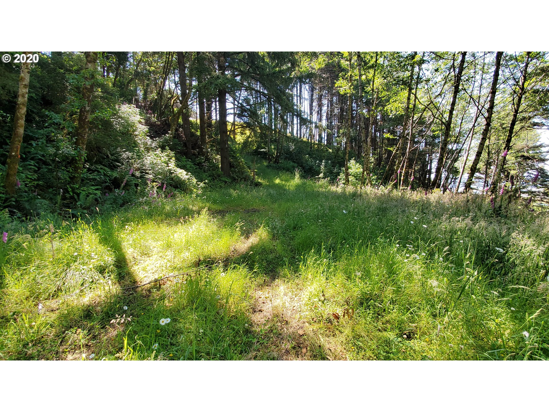 Ophir Road, Unit 400 Gold Beach, OR 97444 - Photo 11 of 28 Gallery Image 11