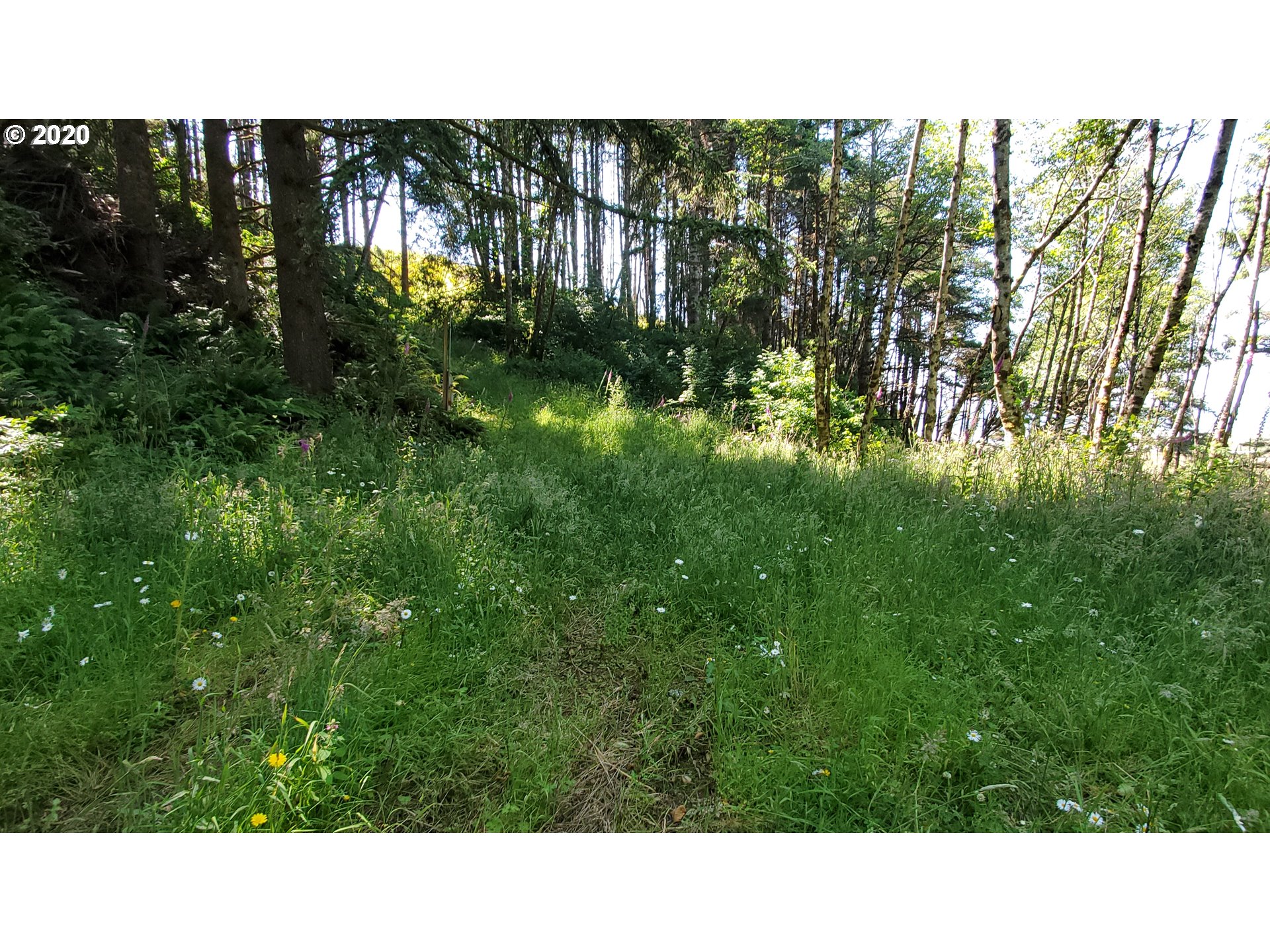Ophir Road, Unit 400 Gold Beach, OR 97444 - Photo 12 of 28 Gallery Image 12