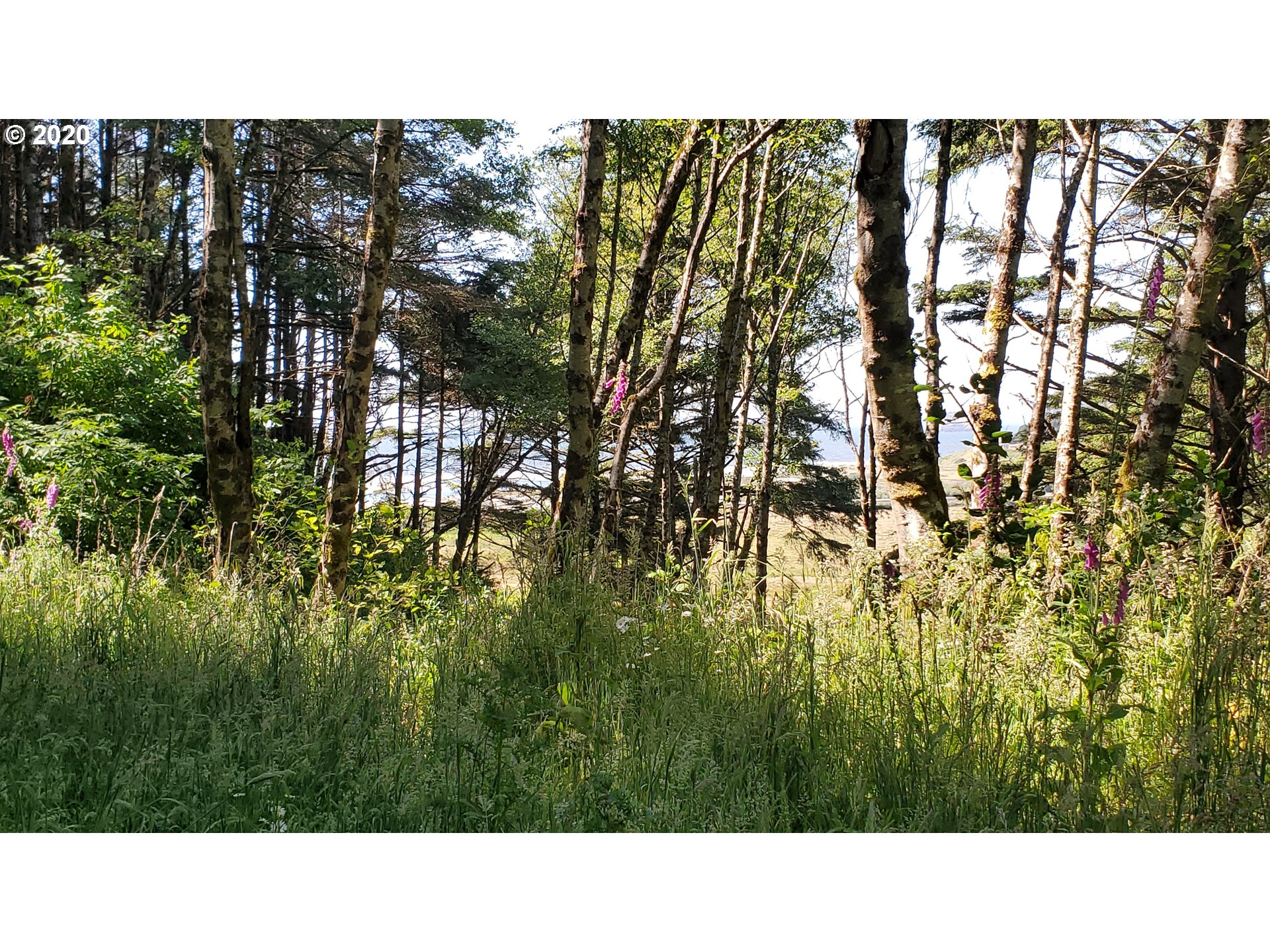 Ophir Road, Unit 400 Gold Beach, OR 97444 - Photo 13 of 28 Gallery Image 13