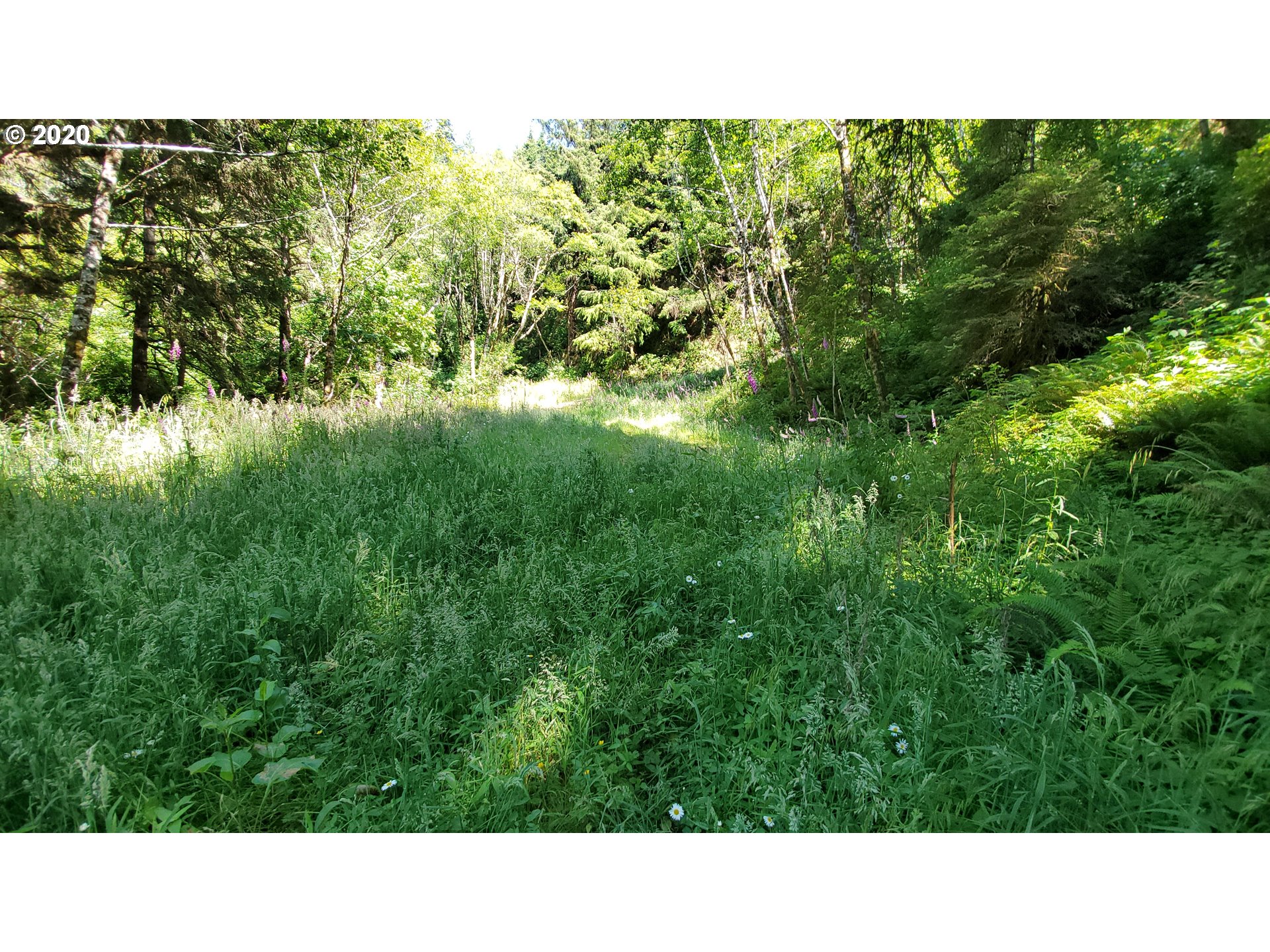 Ophir Road, Unit 400 Gold Beach, OR 97444 - Photo 14 of 28 Gallery Image 14