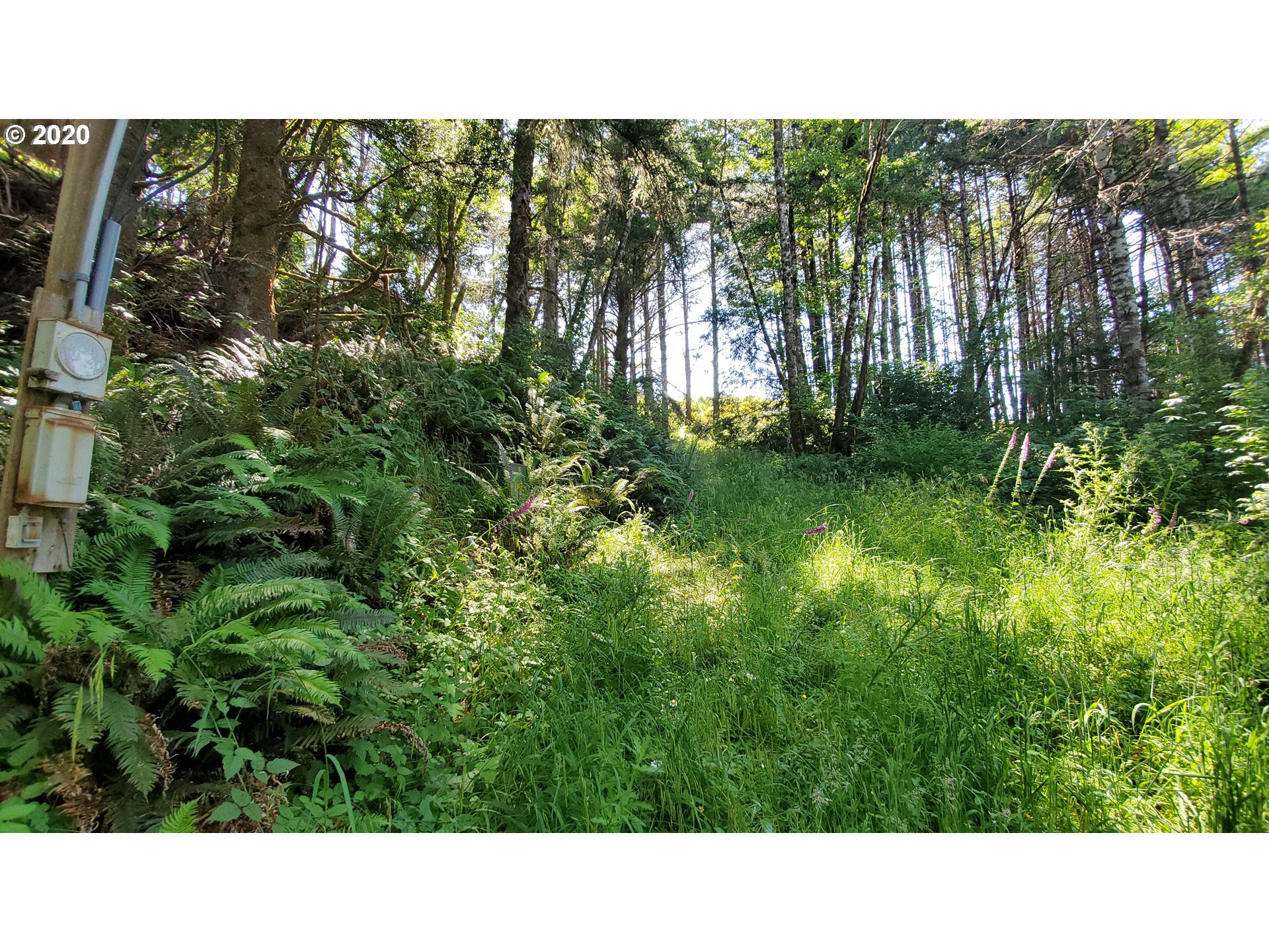 Ophir Road, Unit 400 Gold Beach, OR 97444 - Photo 16 of 28 Gallery Image 16