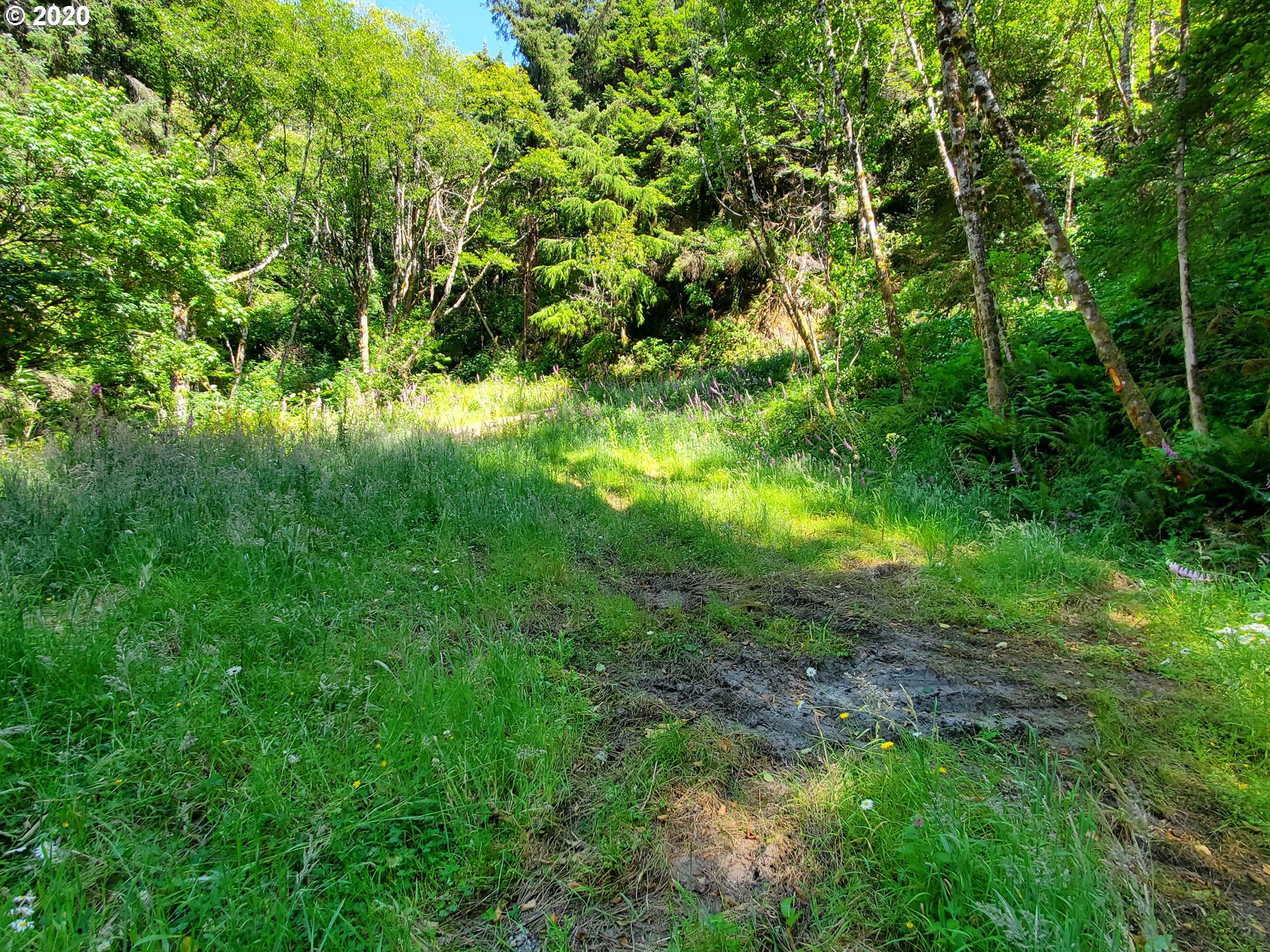 Ophir Road, Unit 400 Gold Beach, OR 97444 - Photo 17 of 28 Gallery Image 17