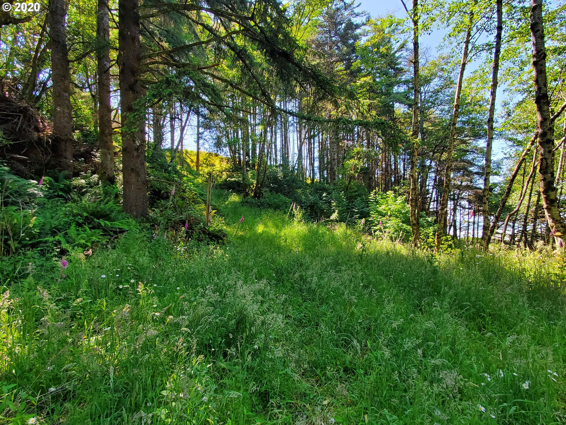 Ophir Road, Unit 400 Gold Beach, OR 97444 - Photo 18 of 28 Gallery Image 18