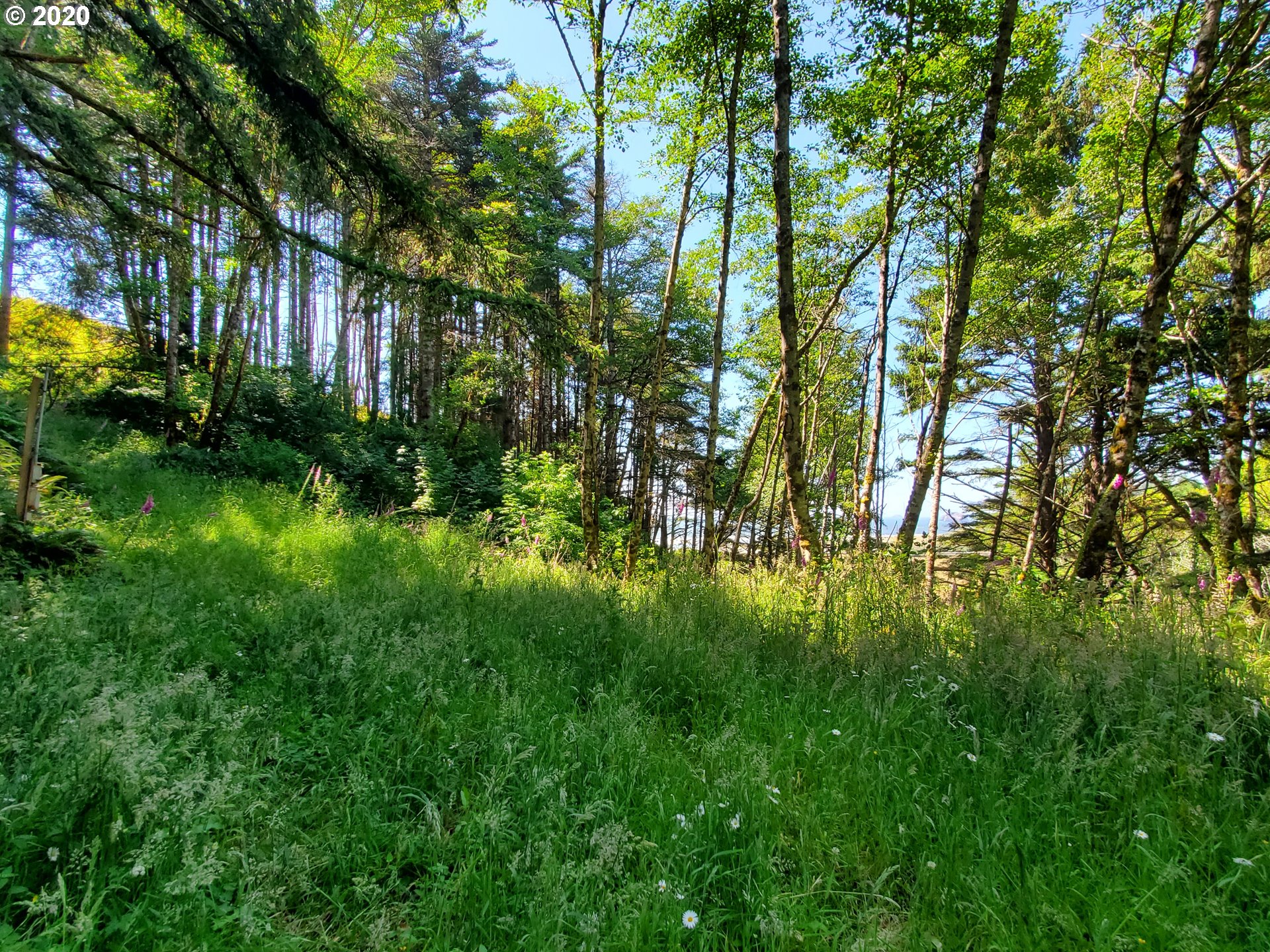 Ophir Road, Unit 400 Gold Beach, OR 97444 - Photo 19 of 28 Gallery Image 19