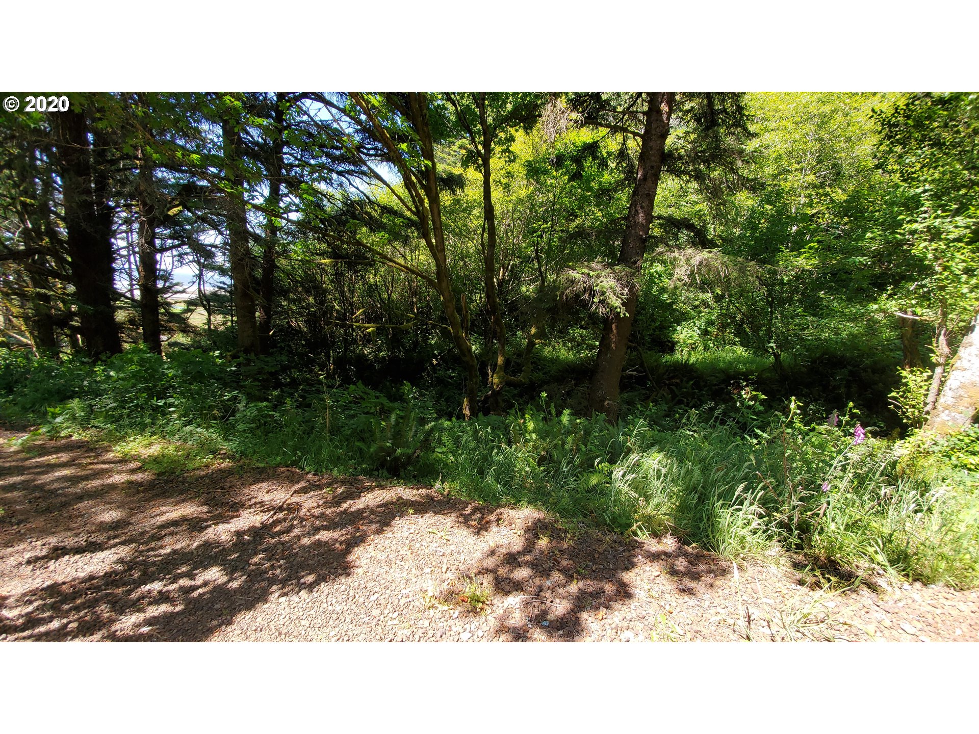 Ophir Road, Unit 400 Gold Beach, OR 97444 - Photo 21 of 28 Gallery Image 21