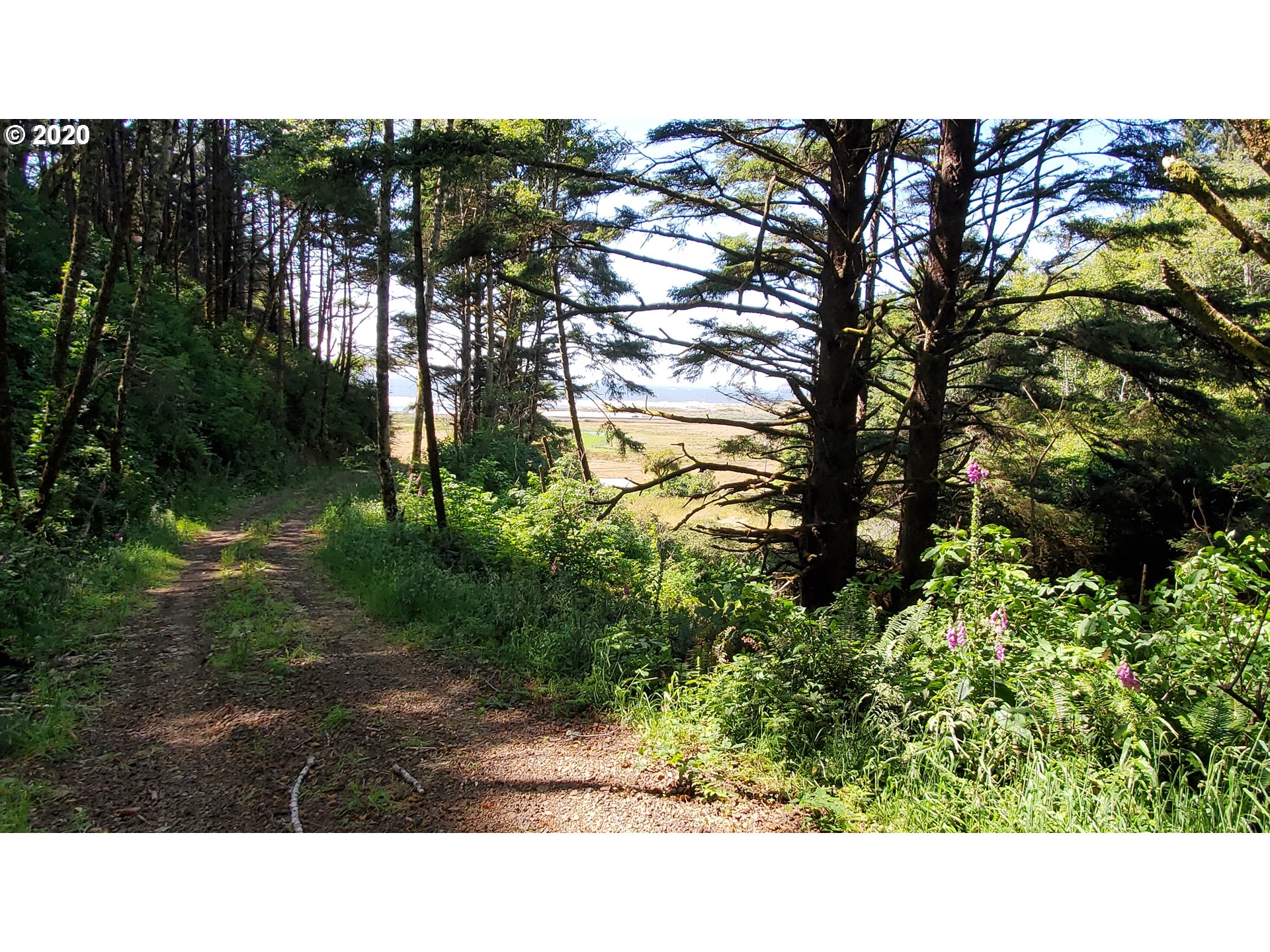 Ophir Road, Unit 400 Gold Beach, OR 97444 - Photo 22 of 28 Gallery Image 22
