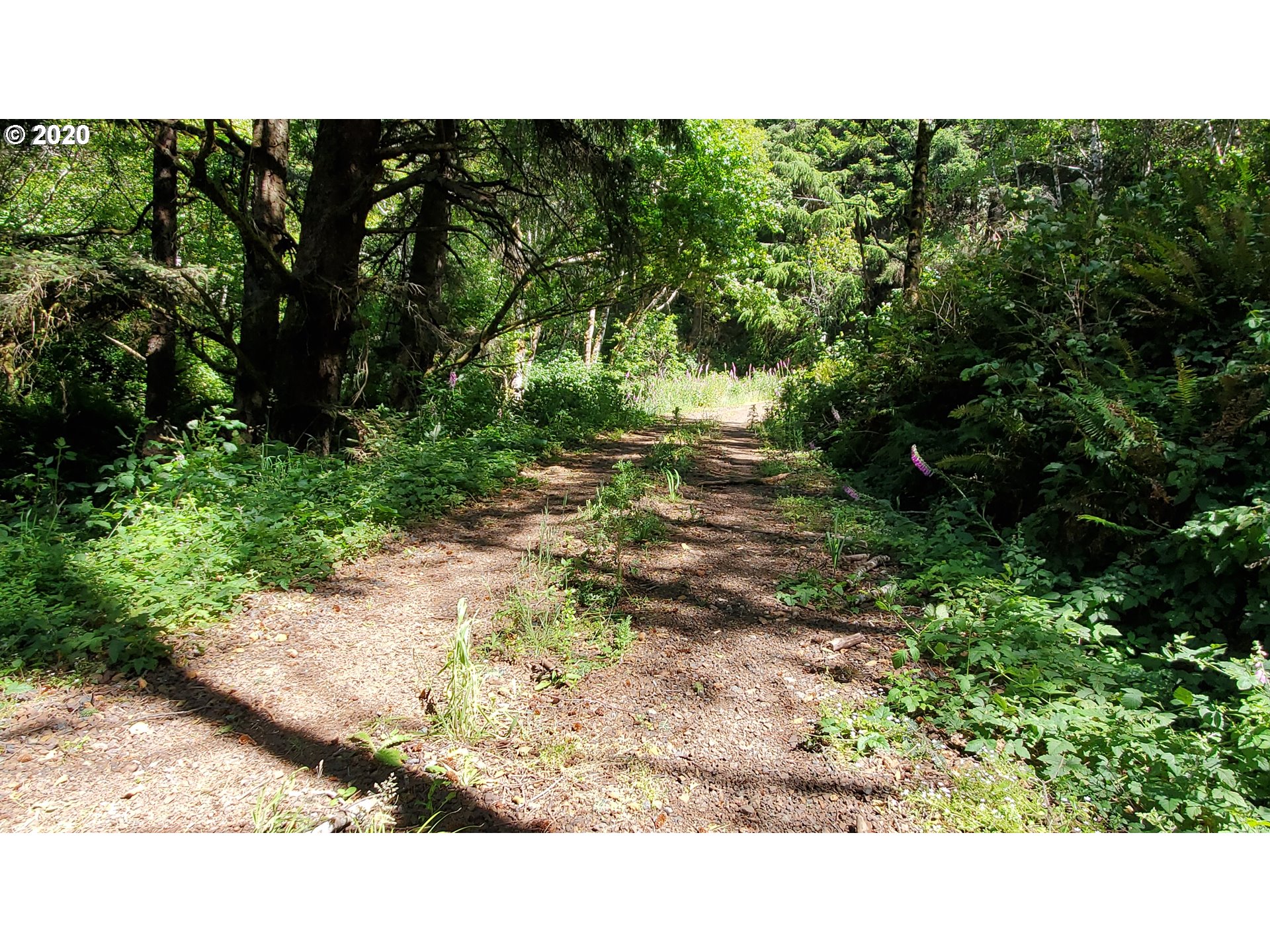 Ophir Road, Unit 400 Gold Beach, OR 97444 - Photo 23 of 28 Gallery Image 23