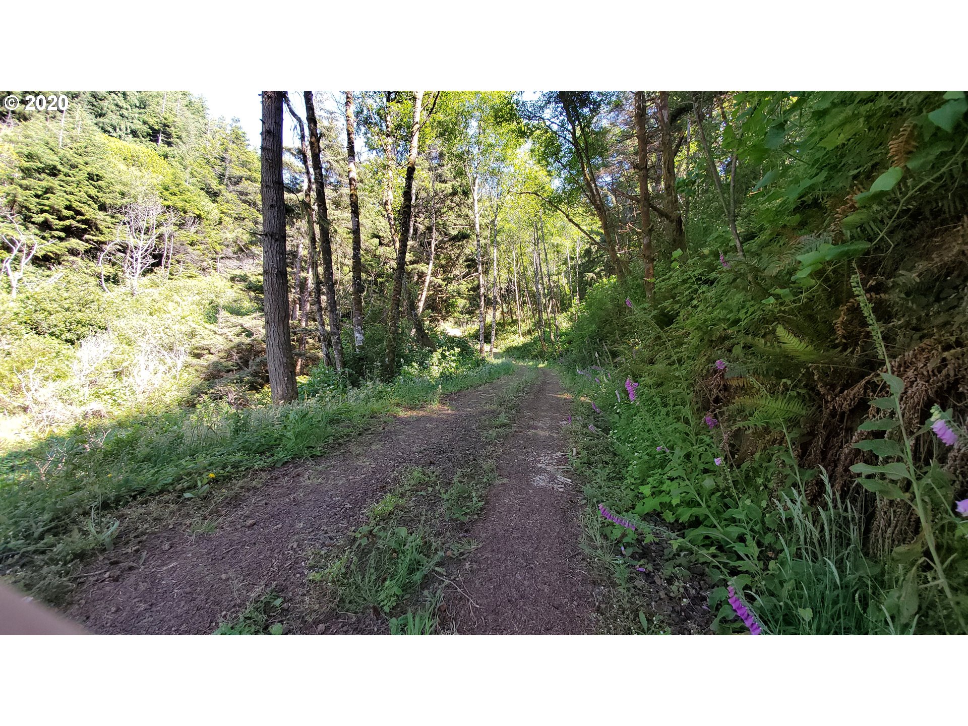 Ophir Road, Unit 400 Gold Beach, OR 97444 - Photo 25 of 28 Gallery Image 25