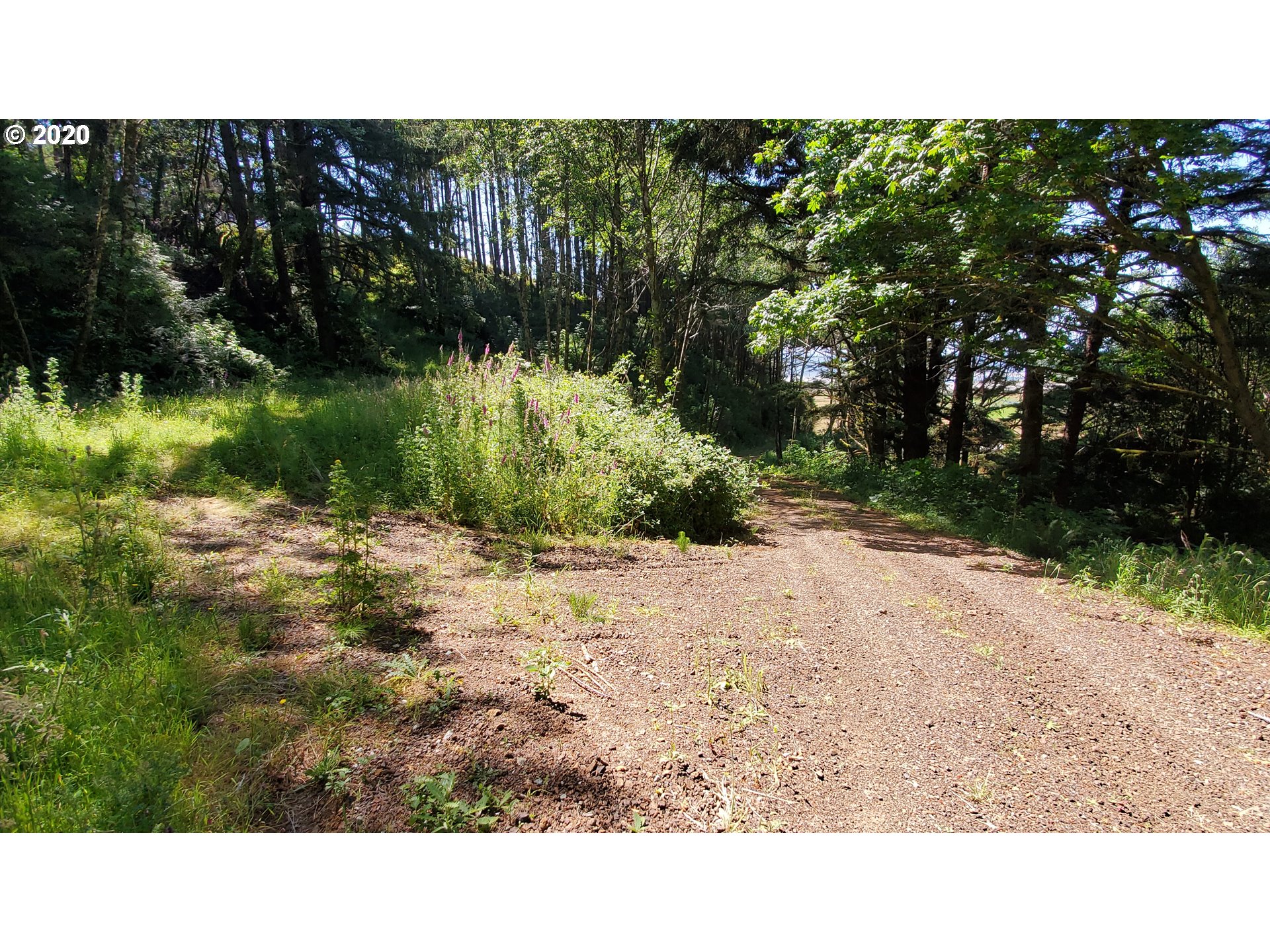 Ophir Road, Unit 400 Gold Beach, OR 97444 - Photo 10 of 28 Gallery Image 10