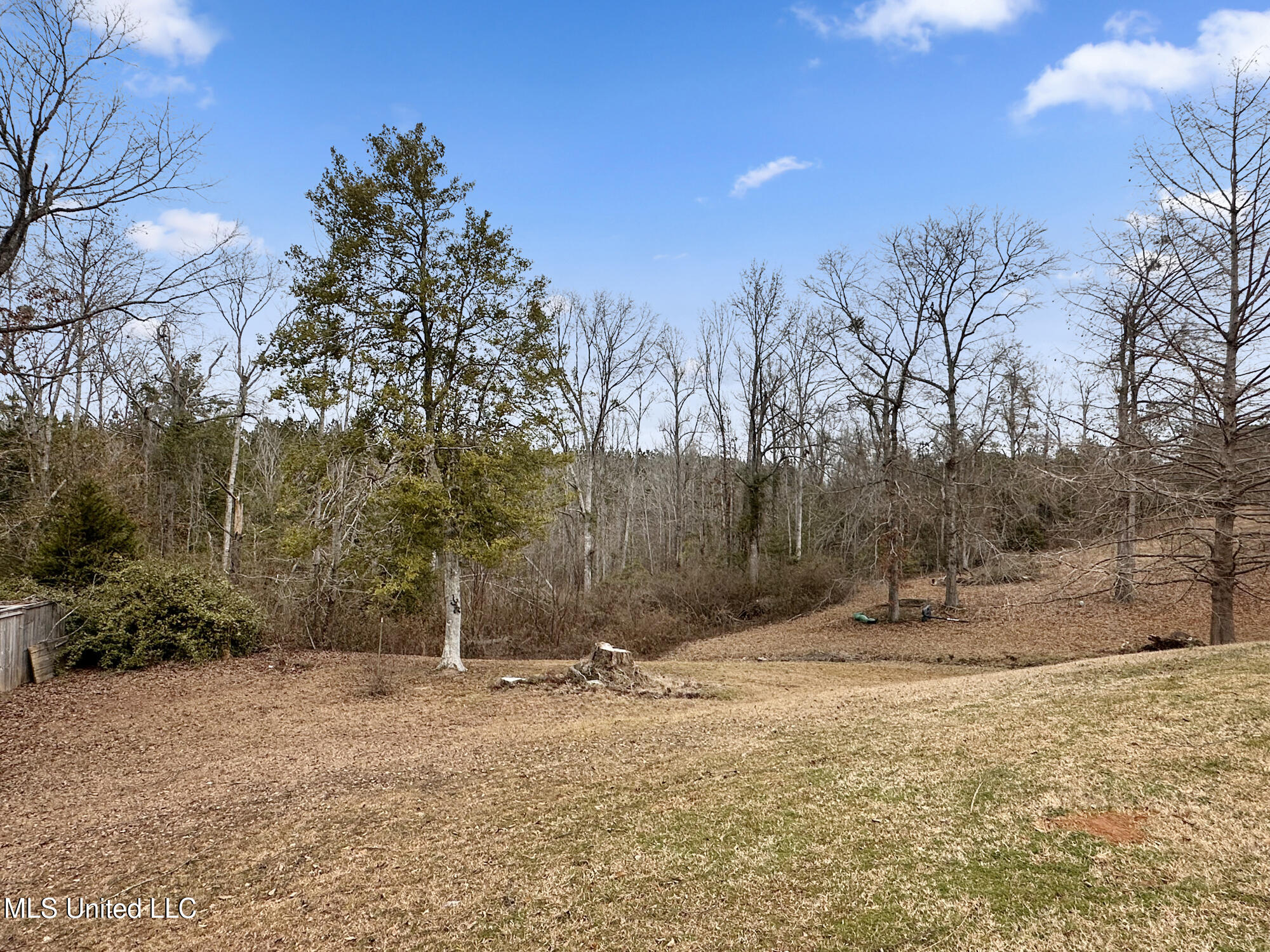 111 Luther Walker Road Meridian, MS 39301 - Photo 29 of 29 3.21 acres